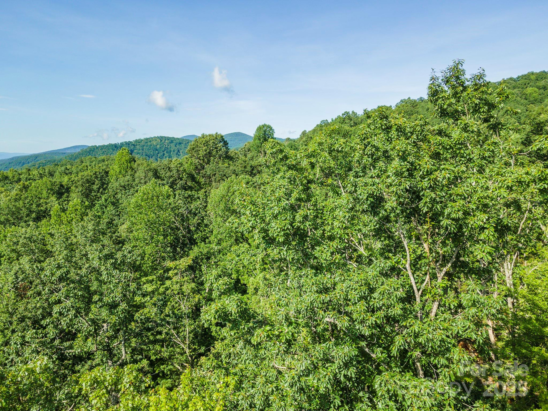 TBD McKenzie Way - Photo 43