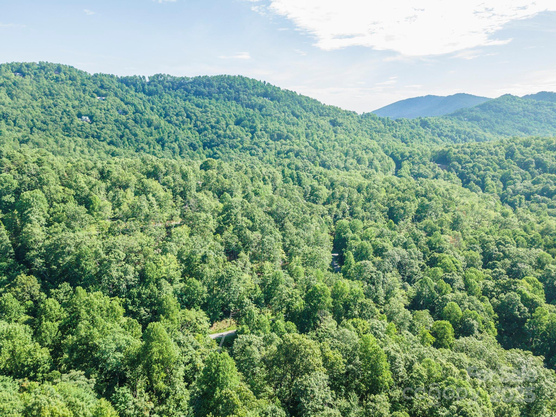 TBD McKenzie Way - Photo 44