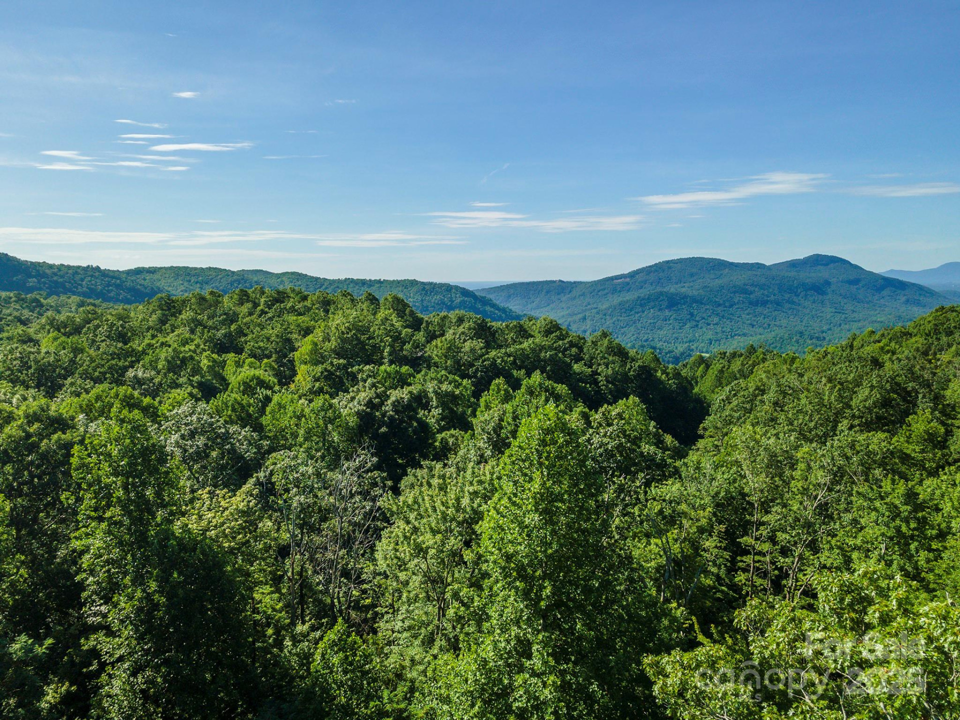 TBD McKenzie Way - Photo 46