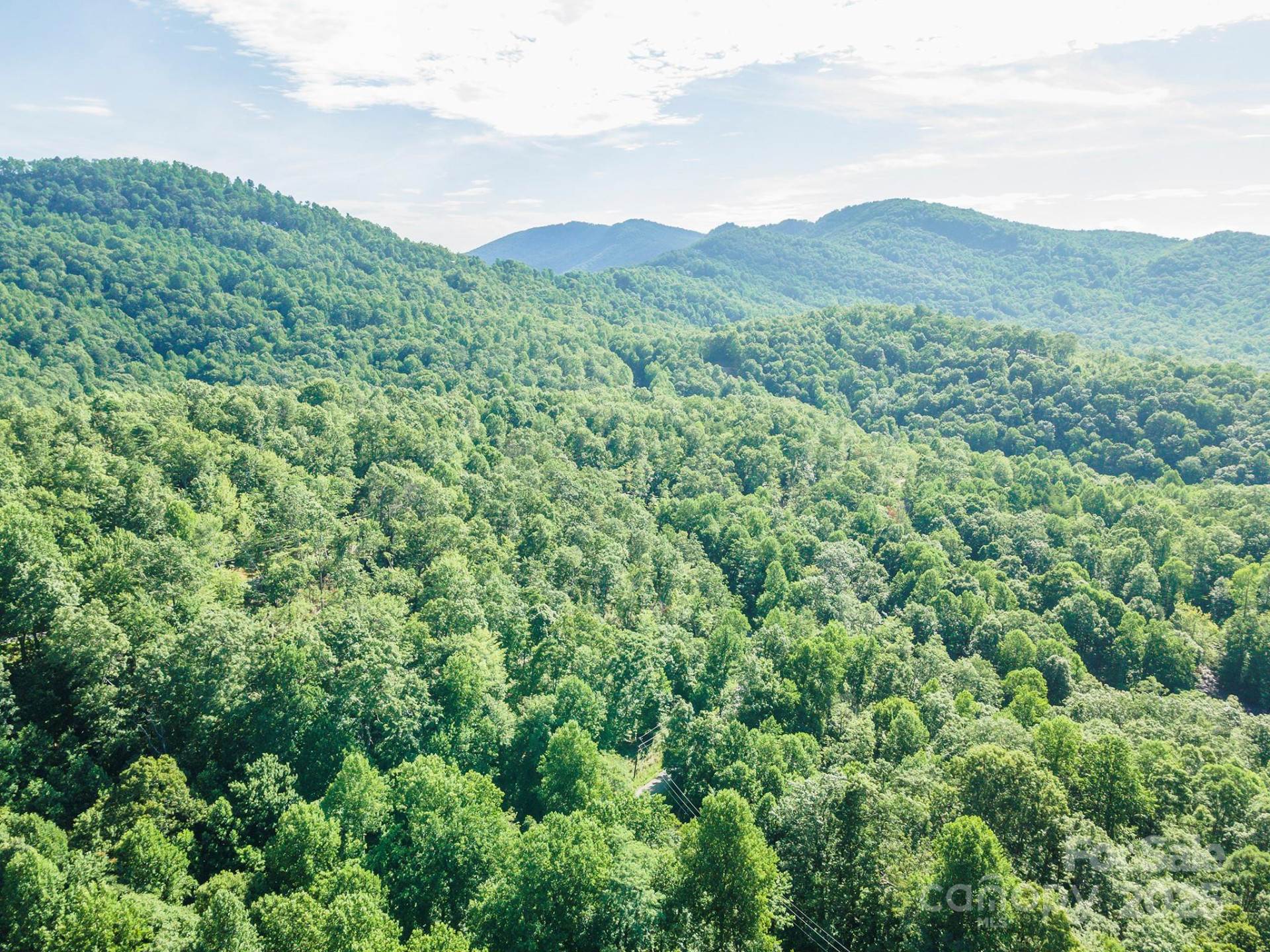 TBD McKenzie Way - Photo 47