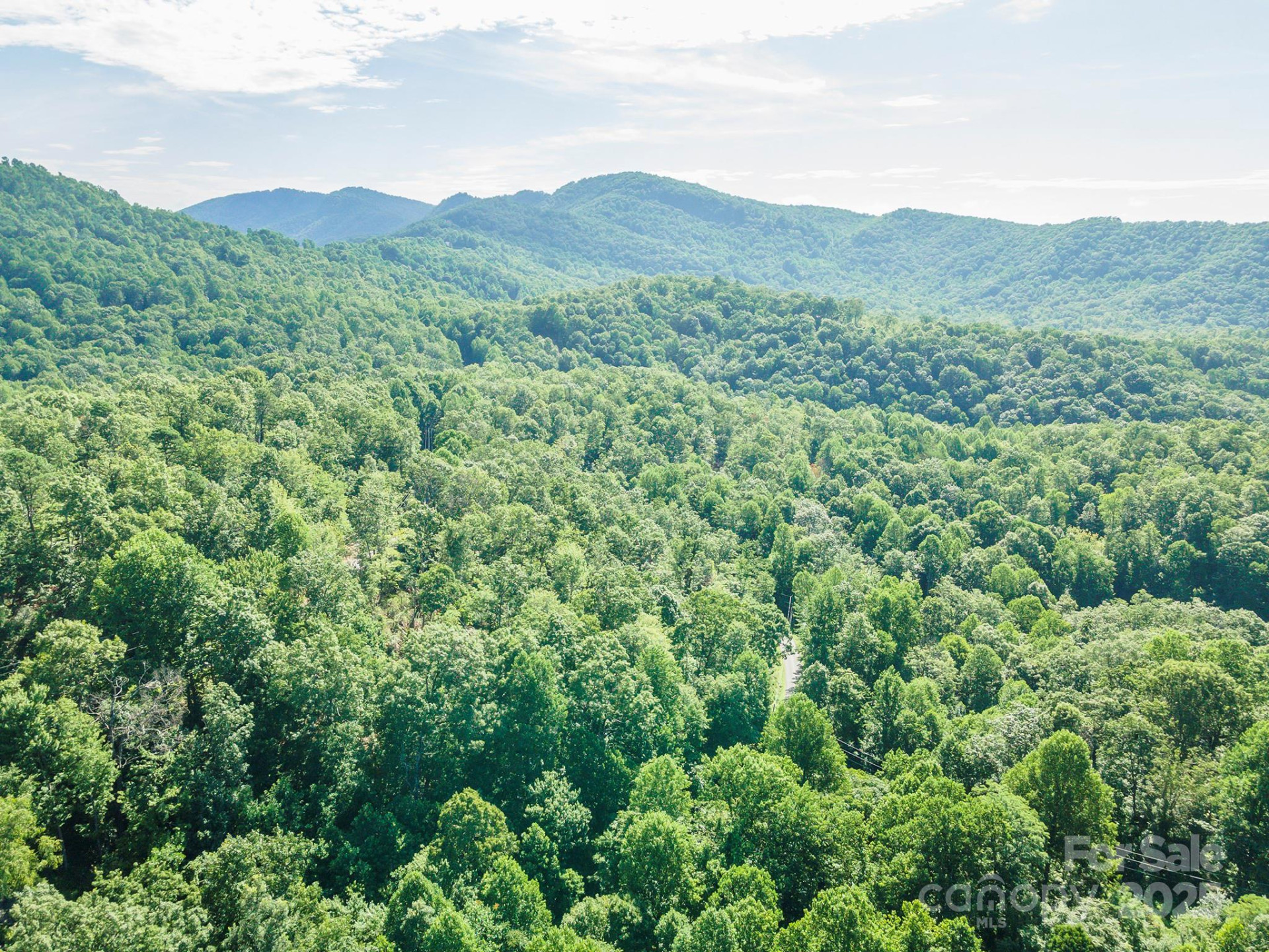 TBD McKenzie Way - Photo 48