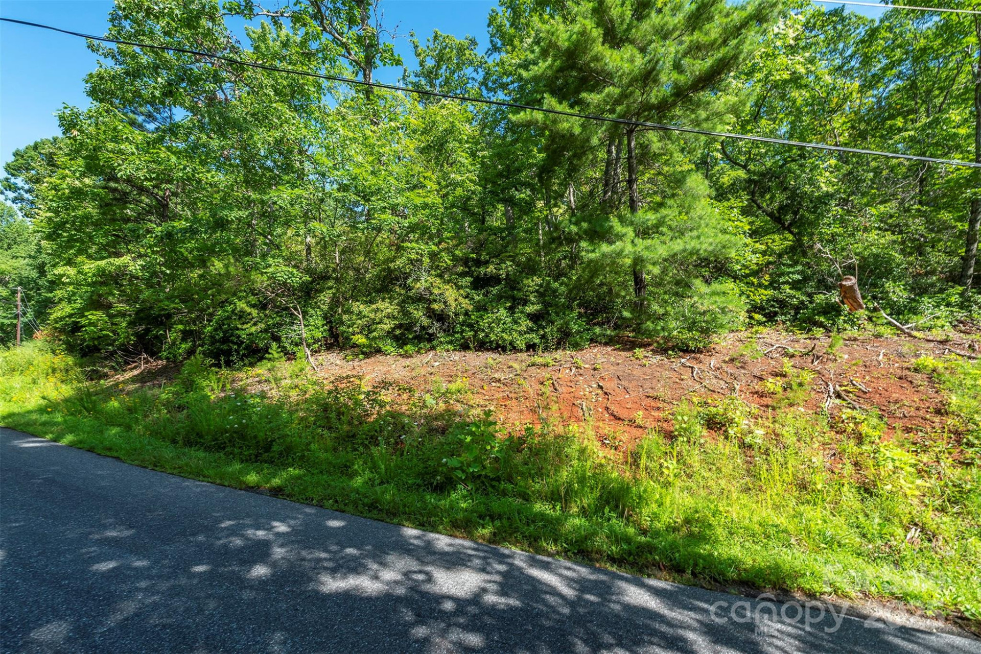 TBD McKenzie Way - Photo 6