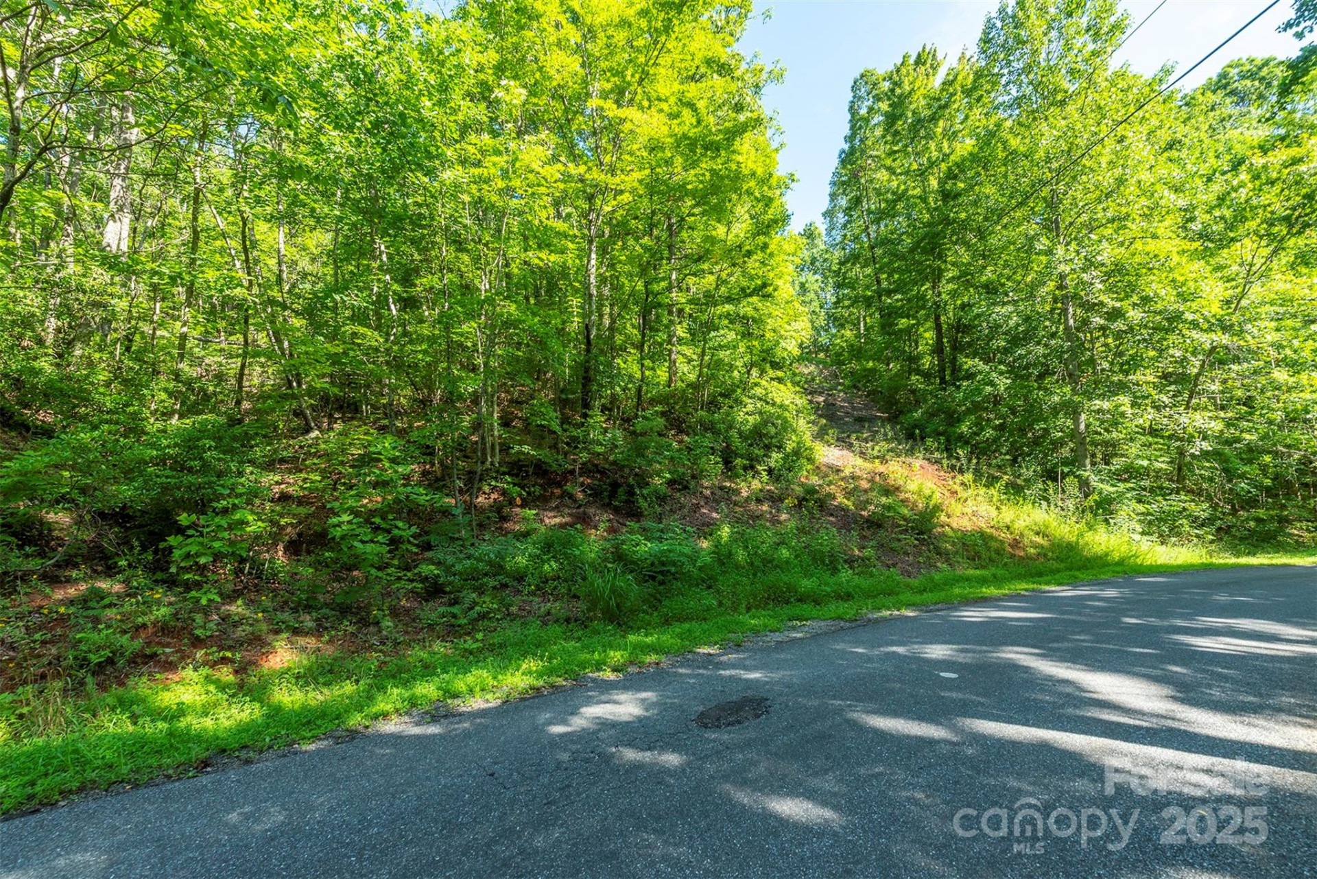 TBD McKenzie Way - Photo 7