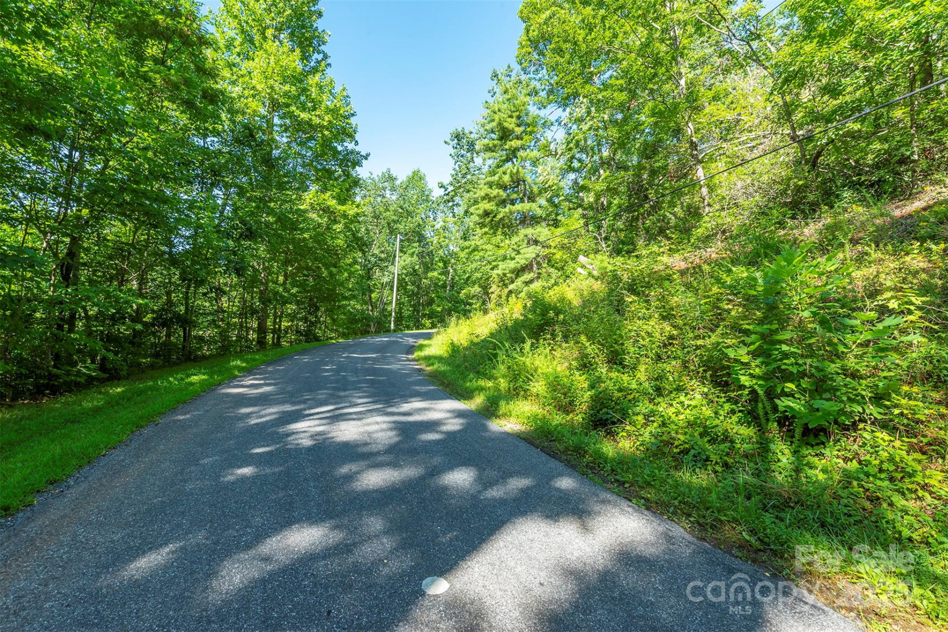 TBD McKenzie Way - Photo 8