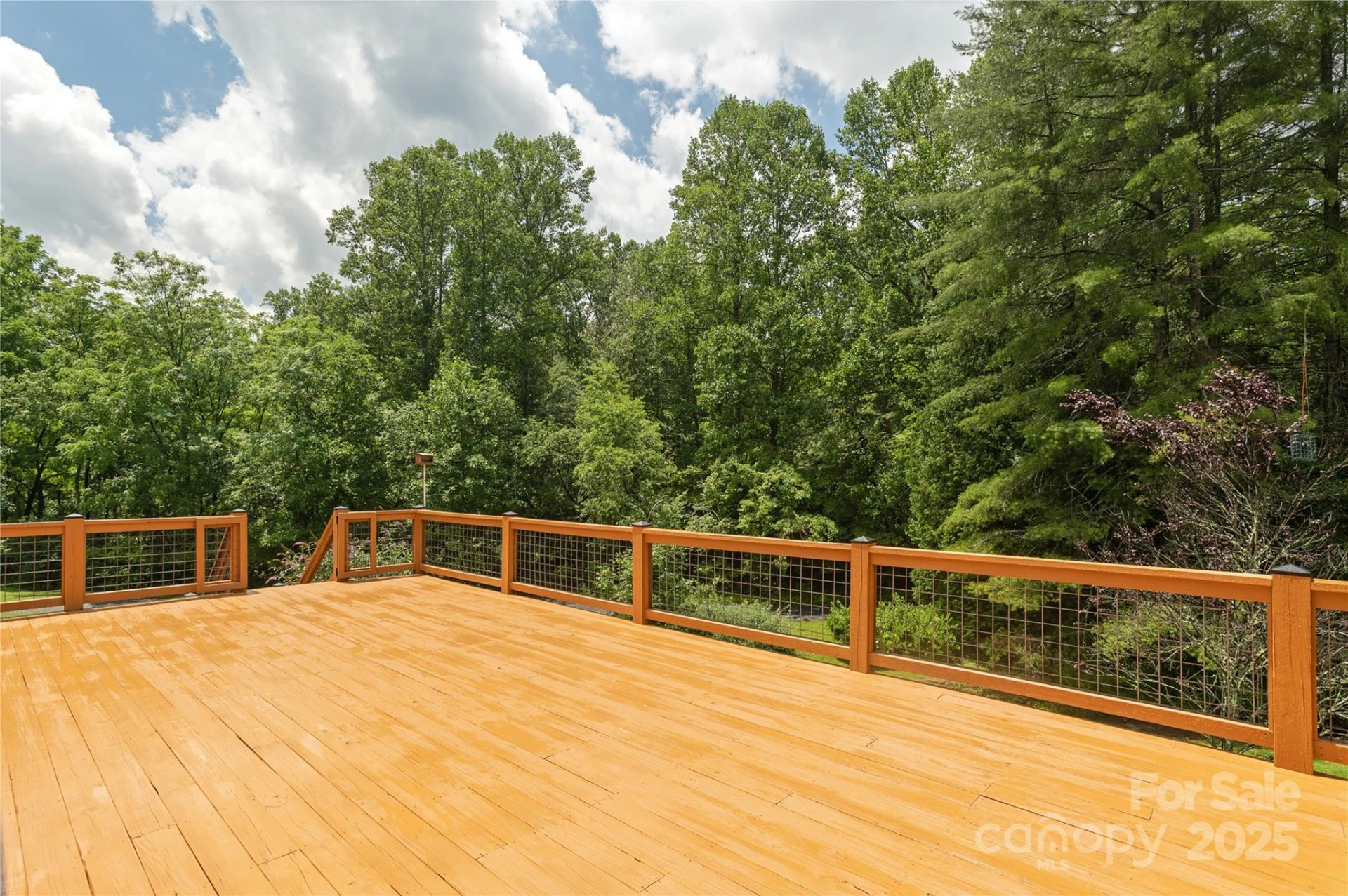 788 Old NC 280 Highway - Photo 12