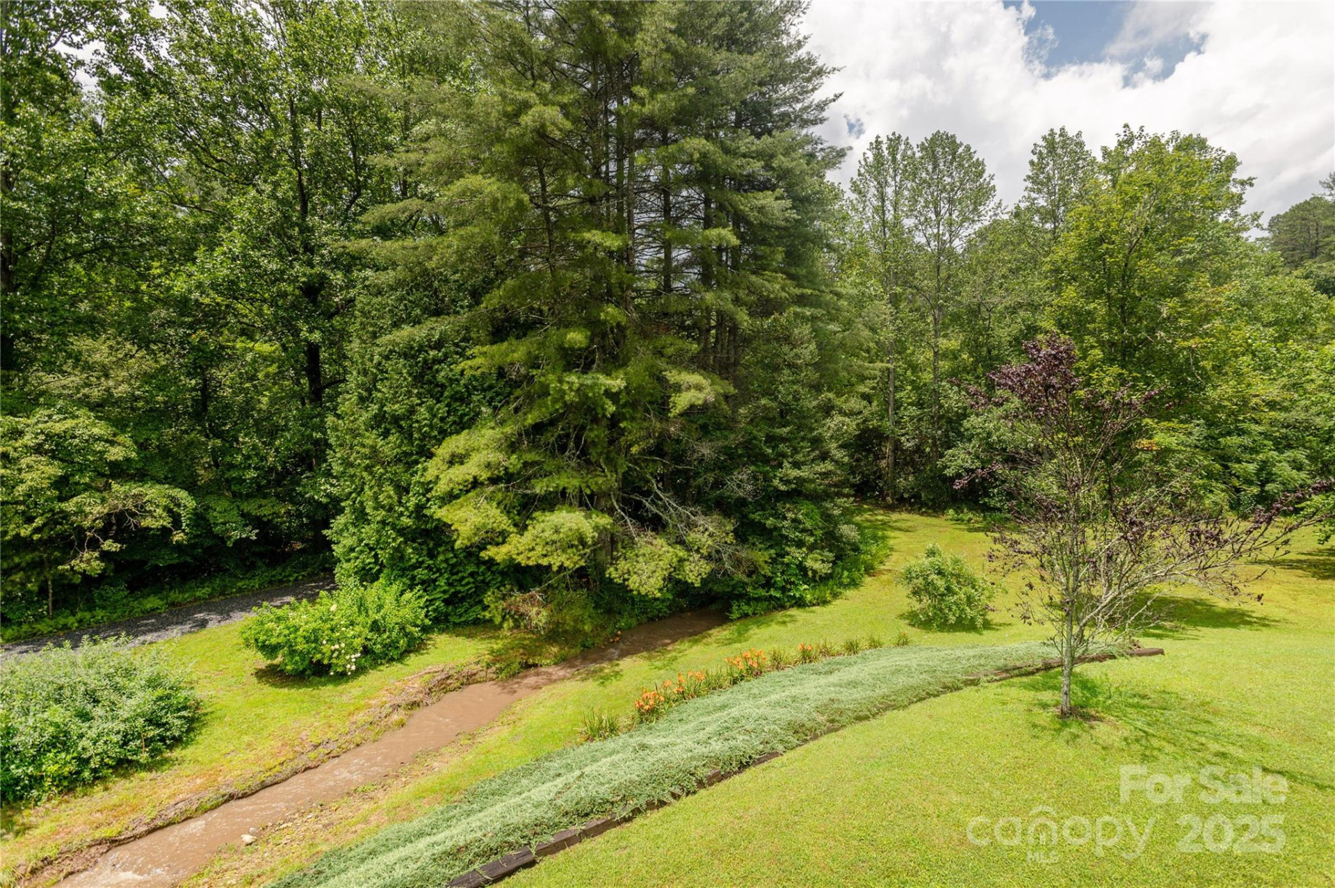 788 Old NC 280 Highway - Photo 37