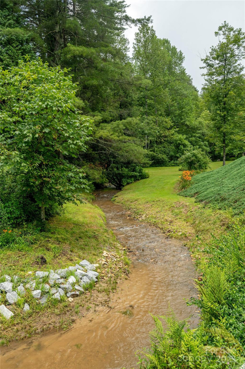 788 Old NC 280 Highway - Photo 39