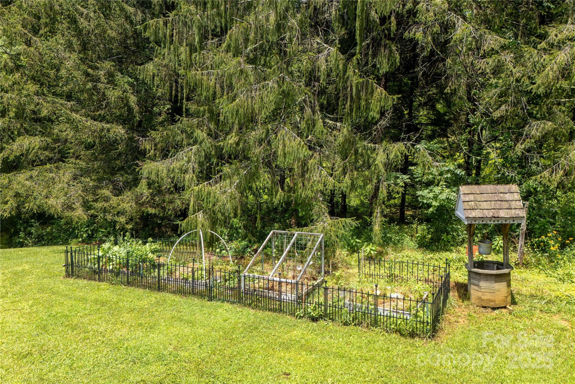 788 Old NC 280 Highway - Photo 40