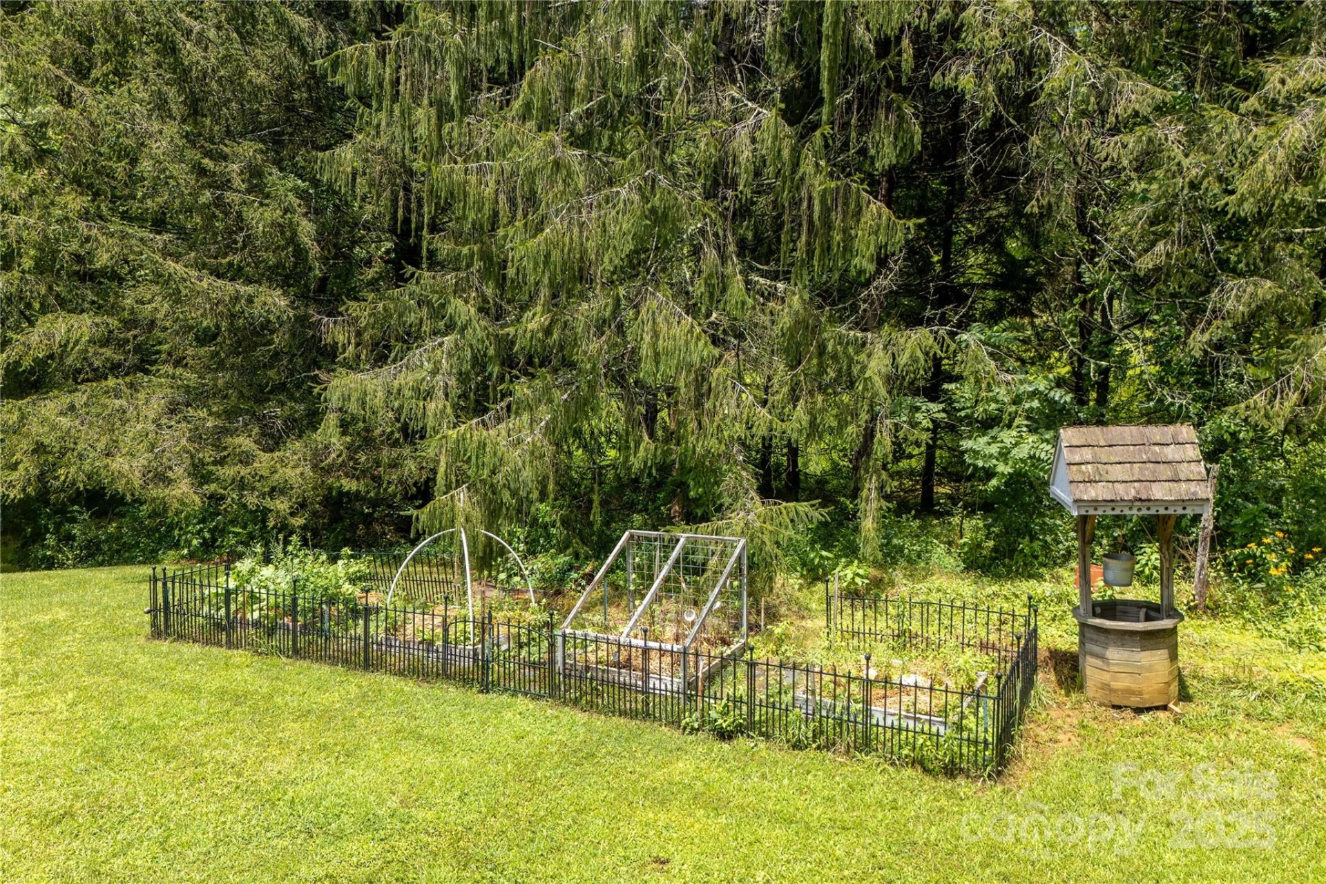 788 Old NC 280 Highway - Photo 40