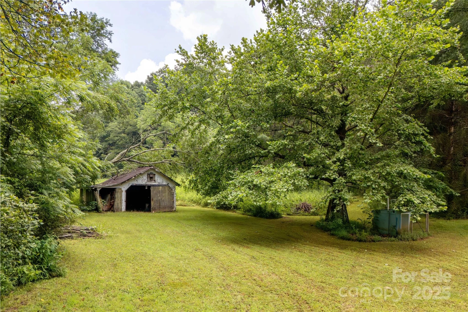 788 Old NC 280 Highway - Photo 41