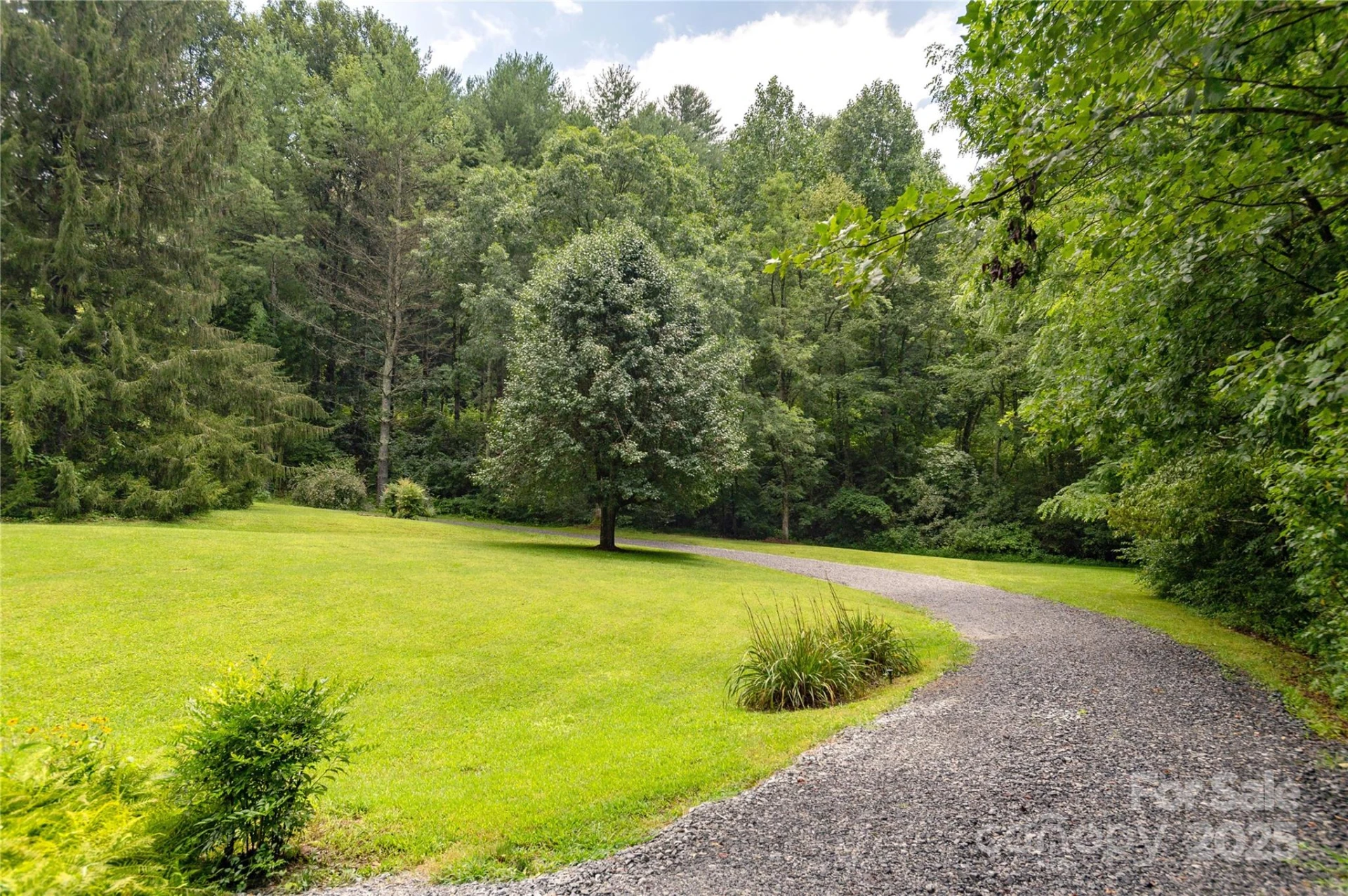 788 Old NC 280 Highway - Photo 42