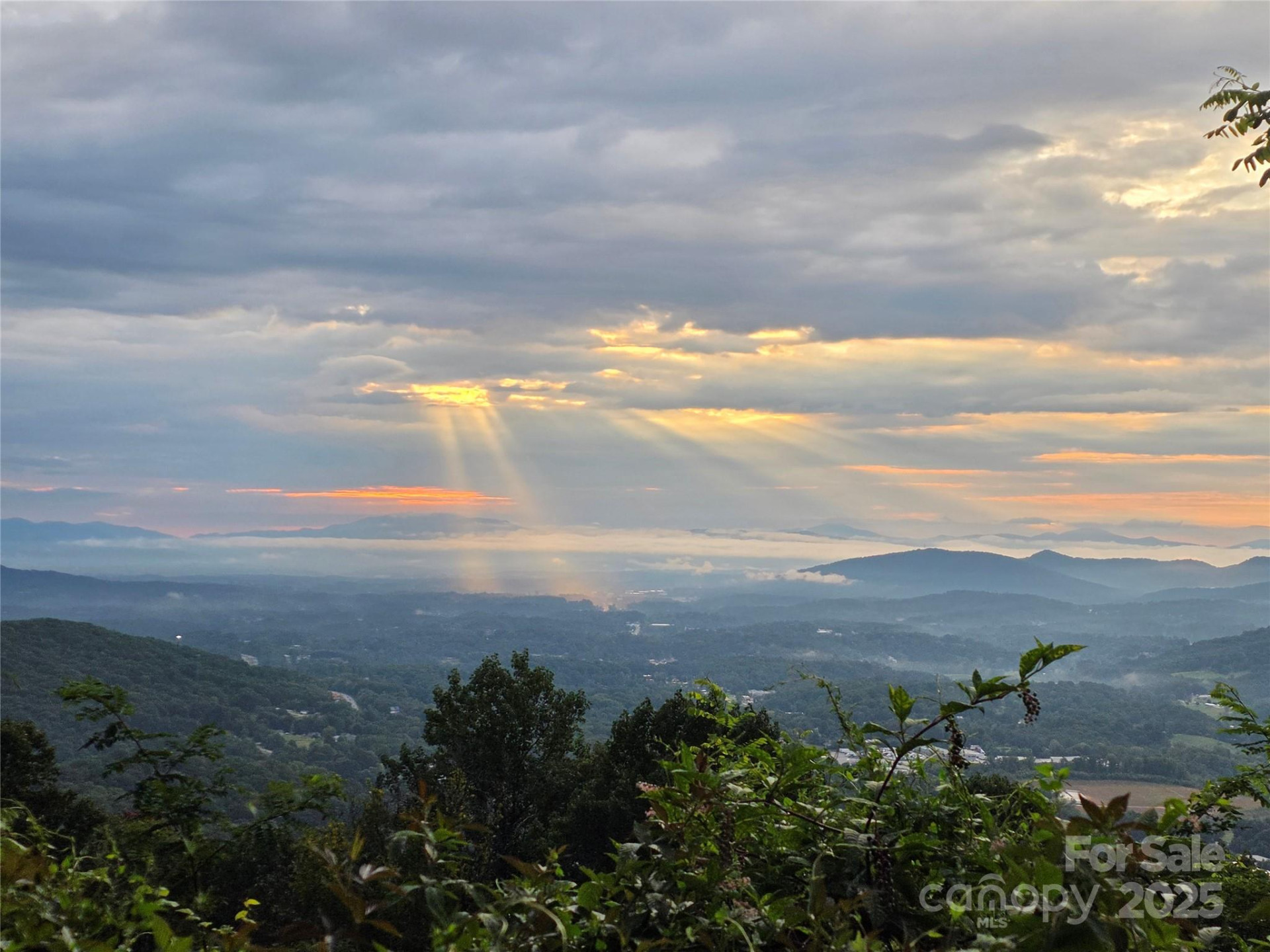 9999 Blue Ridge View Drive - Photo 2