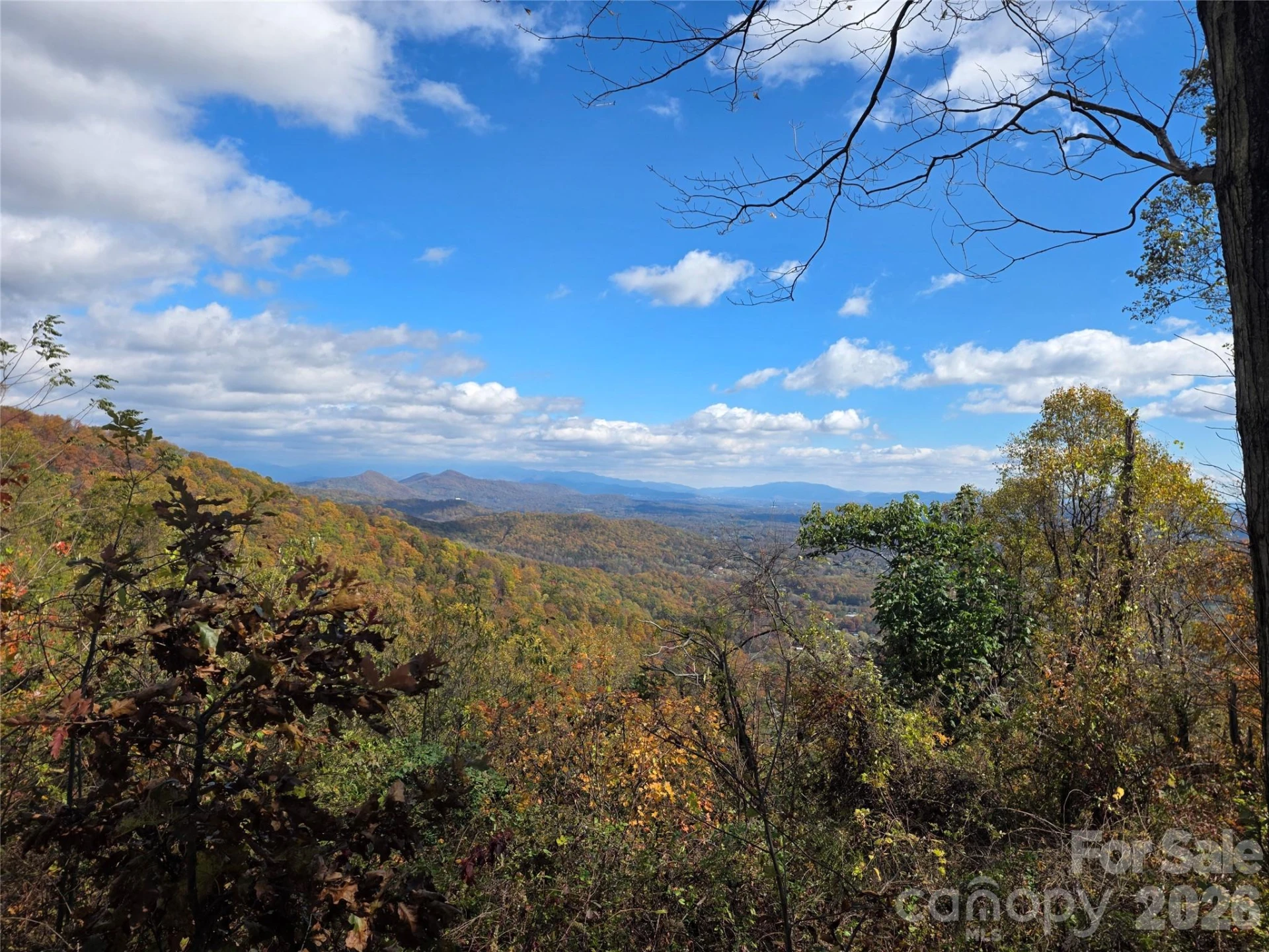 9999 Blue Ridge View Drive - Photo 3