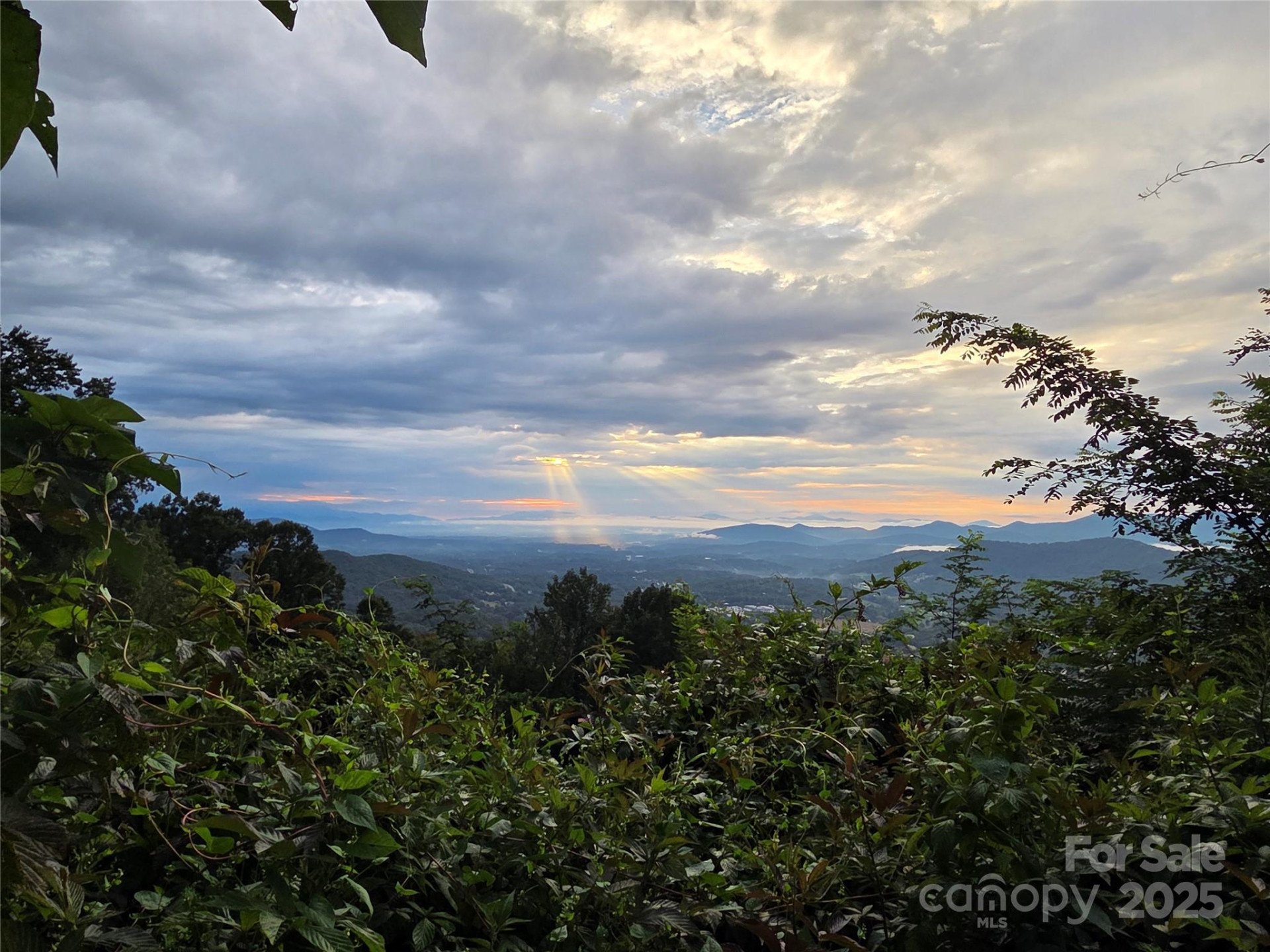 9999 Blue Ridge View Drive - Photo 17