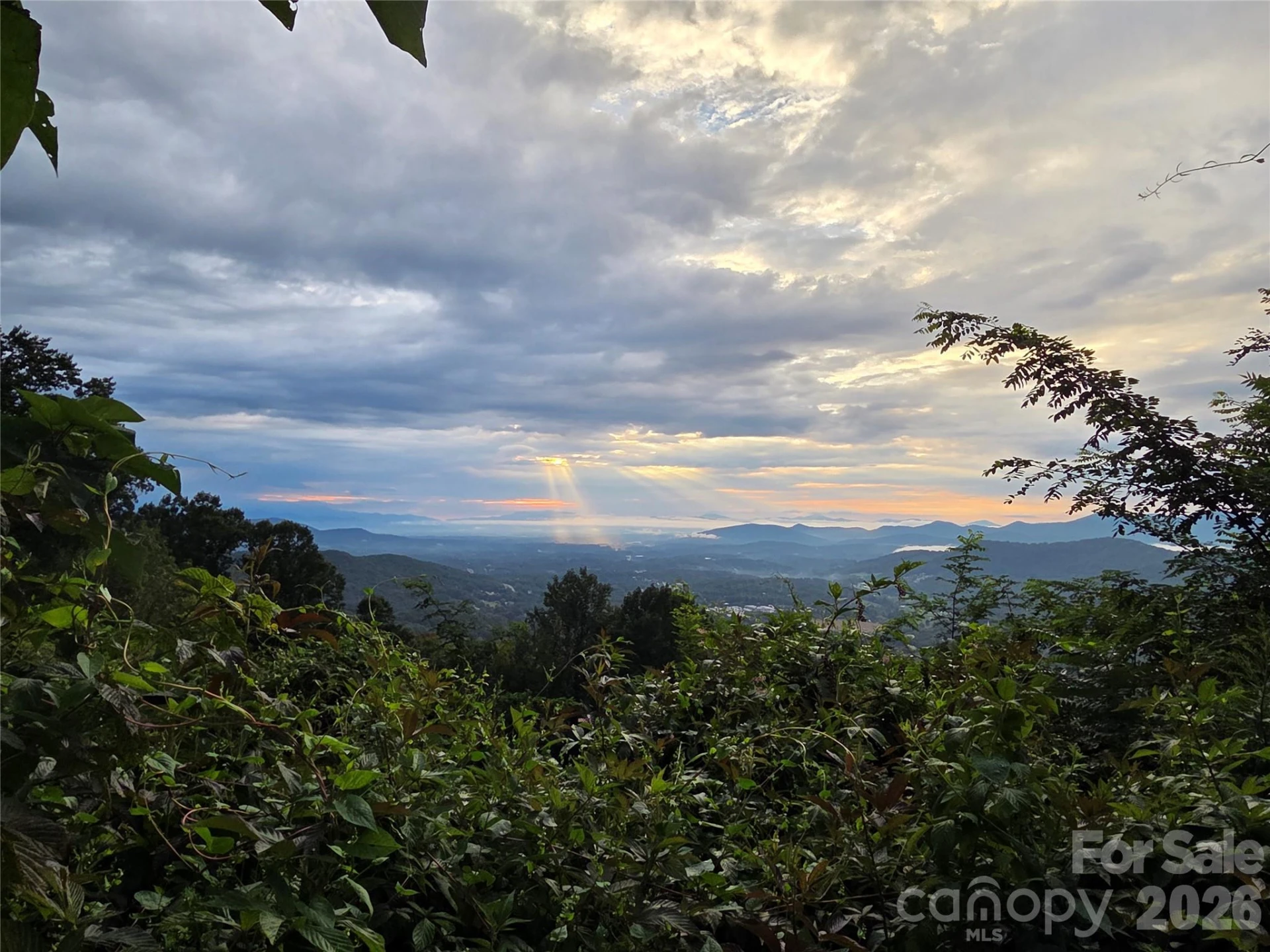 9999 Blue Ridge View Drive - Photo 33