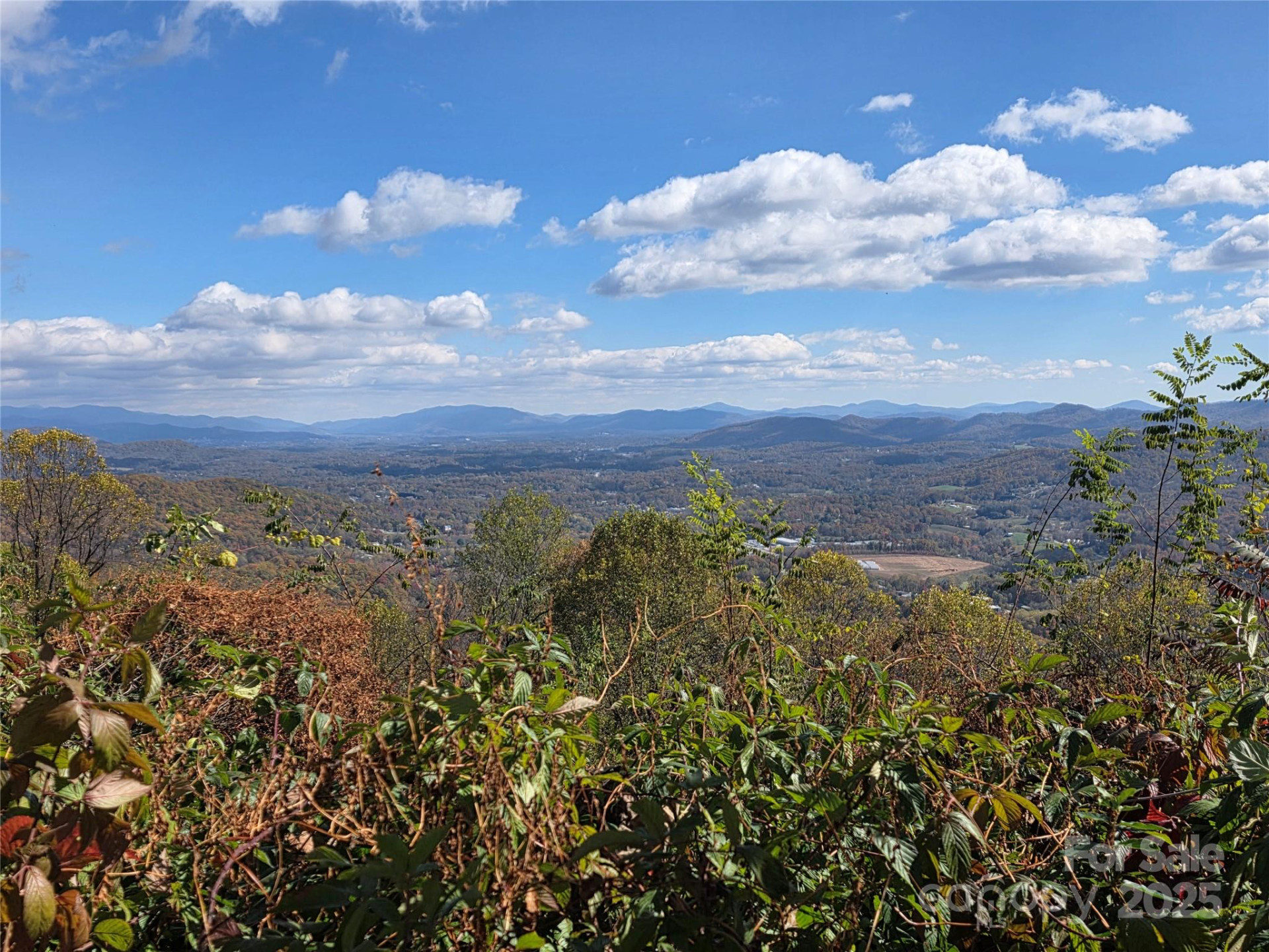 9999 Blue Ridge View Drive - Photo 18