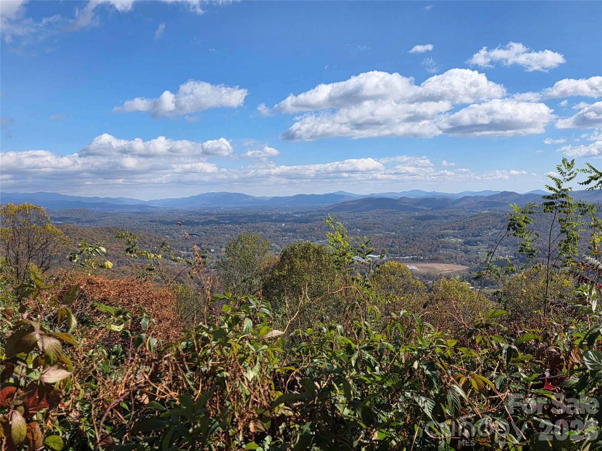 9999 Blue Ridge View Drive - Photo 35