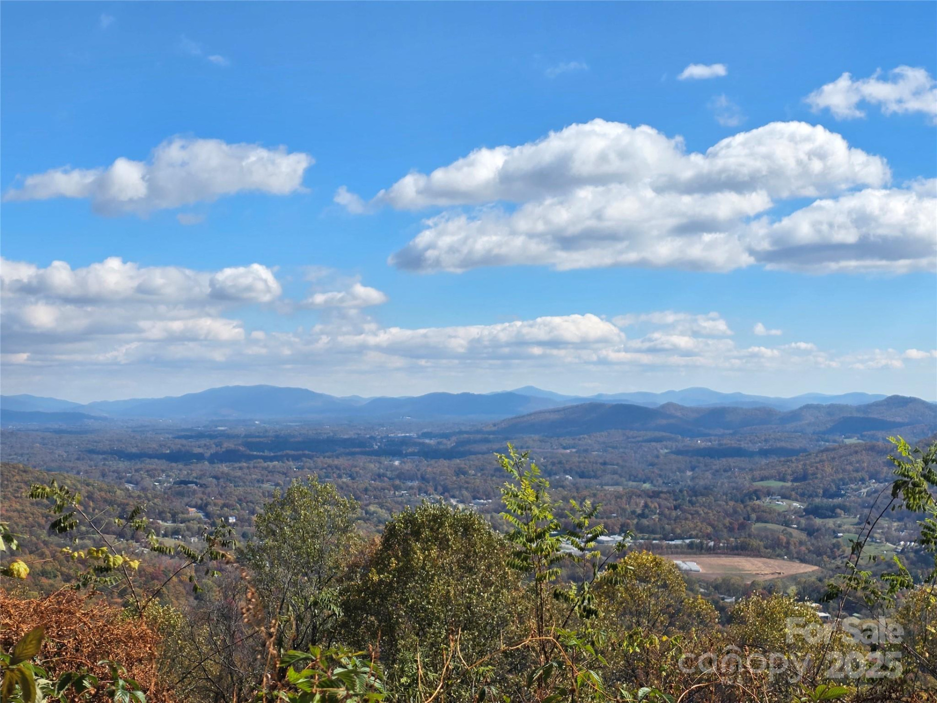 9999 Blue Ridge View Drive - Photo 3
