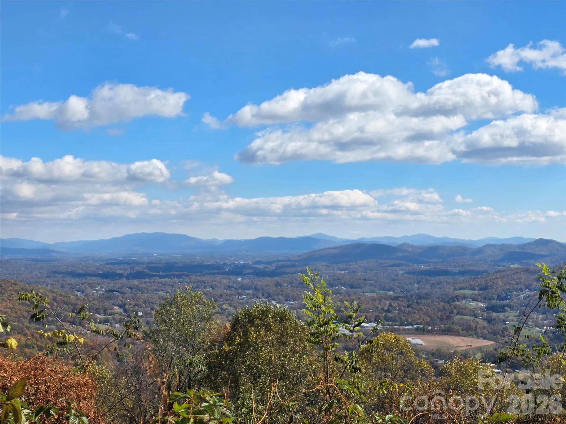 9999 Blue Ridge View Drive - Photo 5