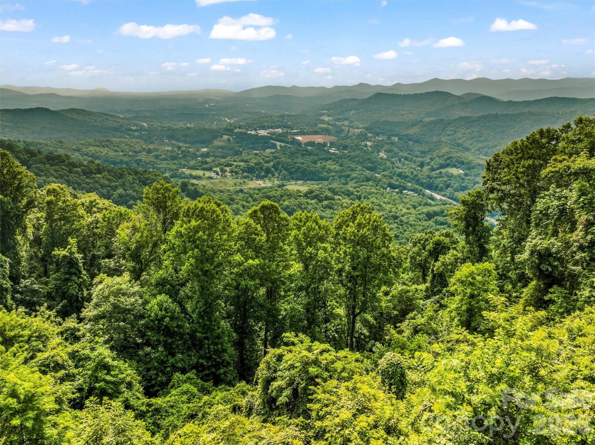9999 Blue Ridge View Drive - Photo 9