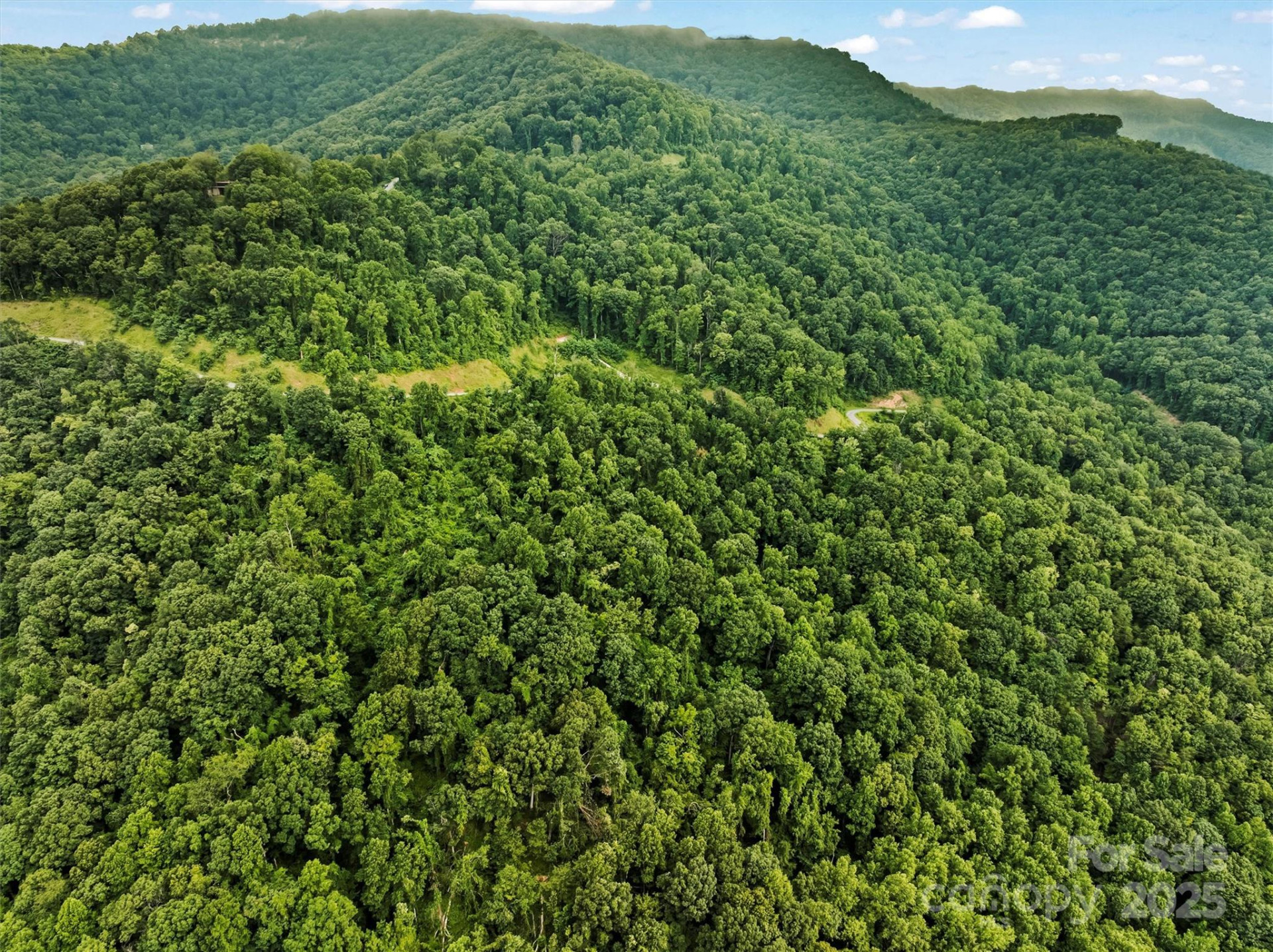 9999 Blue Ridge View Drive - Photo 9