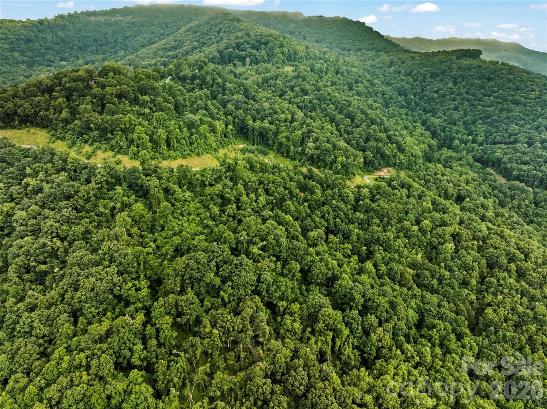 9999 Blue Ridge View Drive - Photo 17