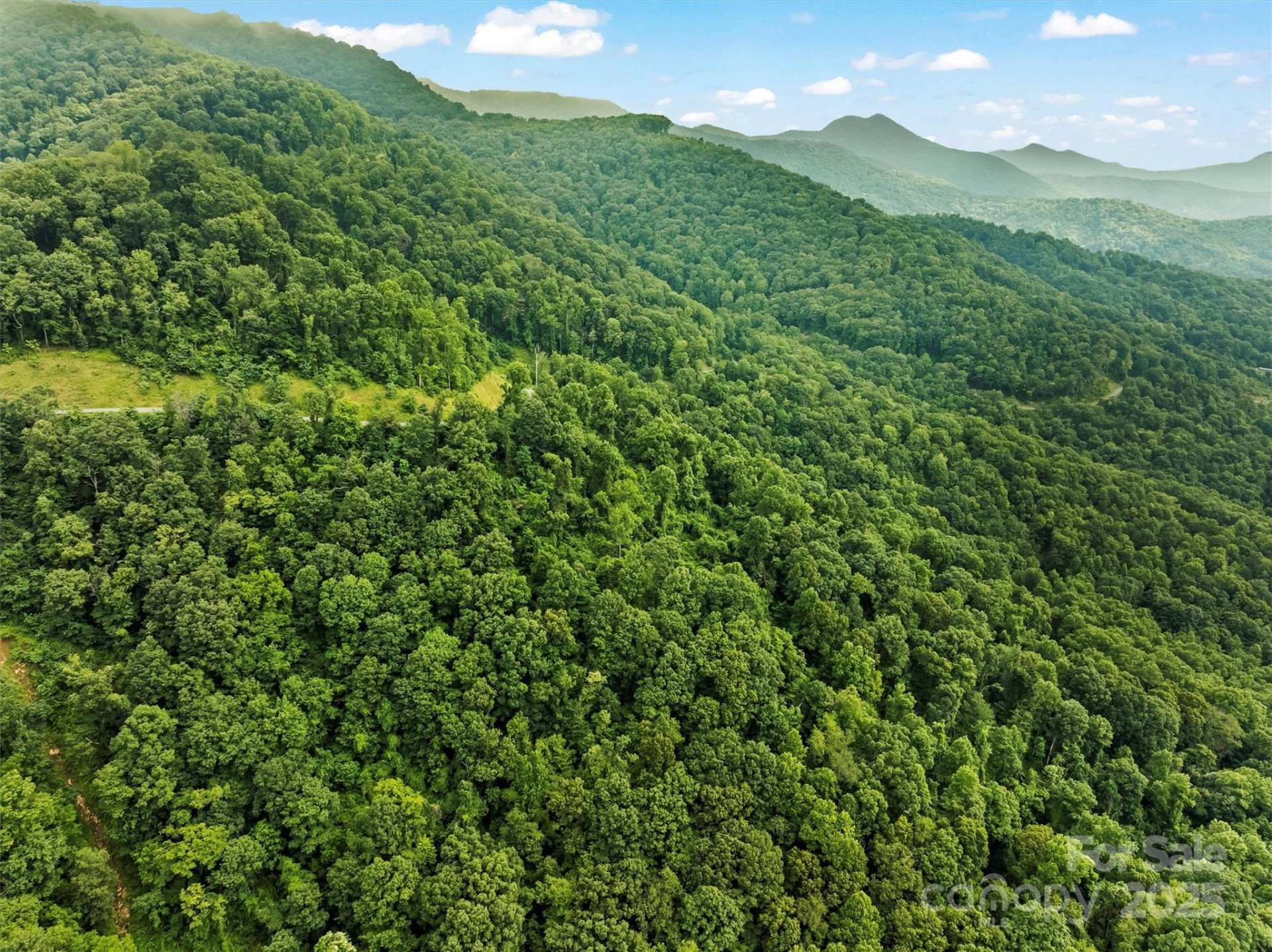 9999 Blue Ridge View Drive - Photo 10