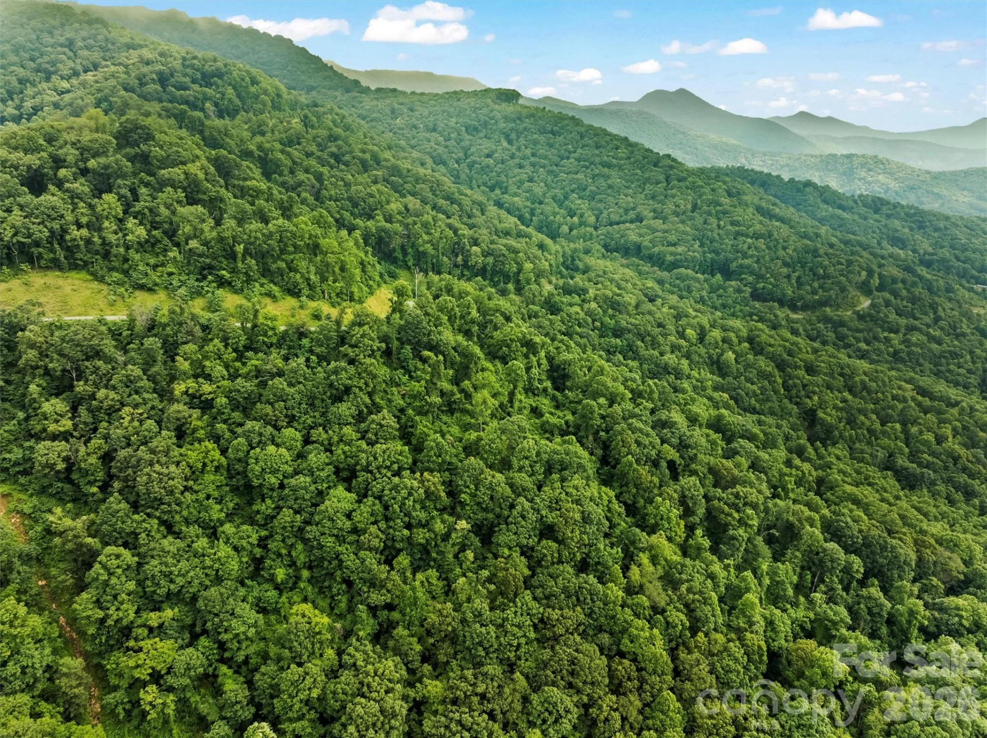 9999 Blue Ridge View Drive - Photo 19