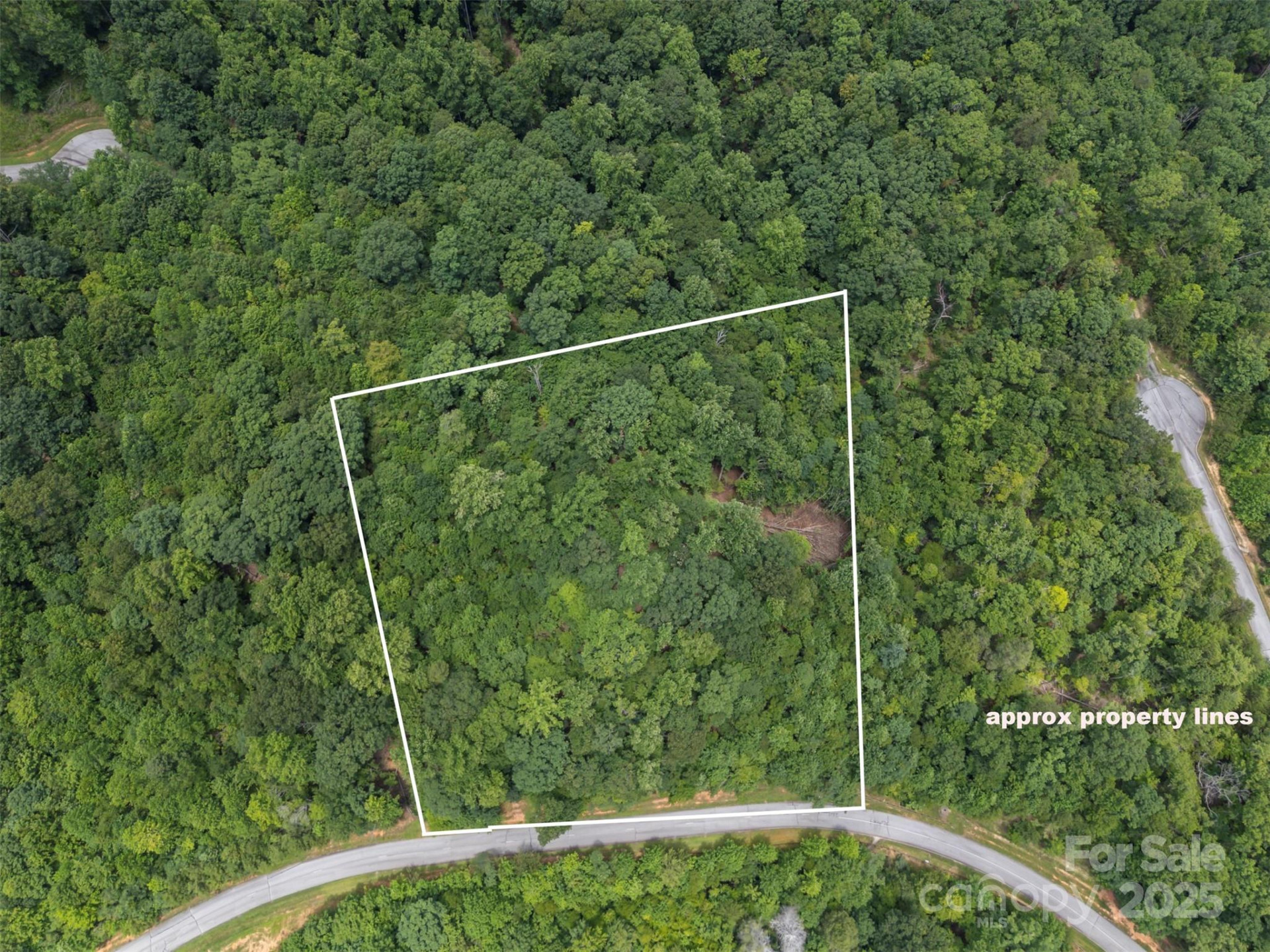 000 Deep Gap Farm Road - Photo 2