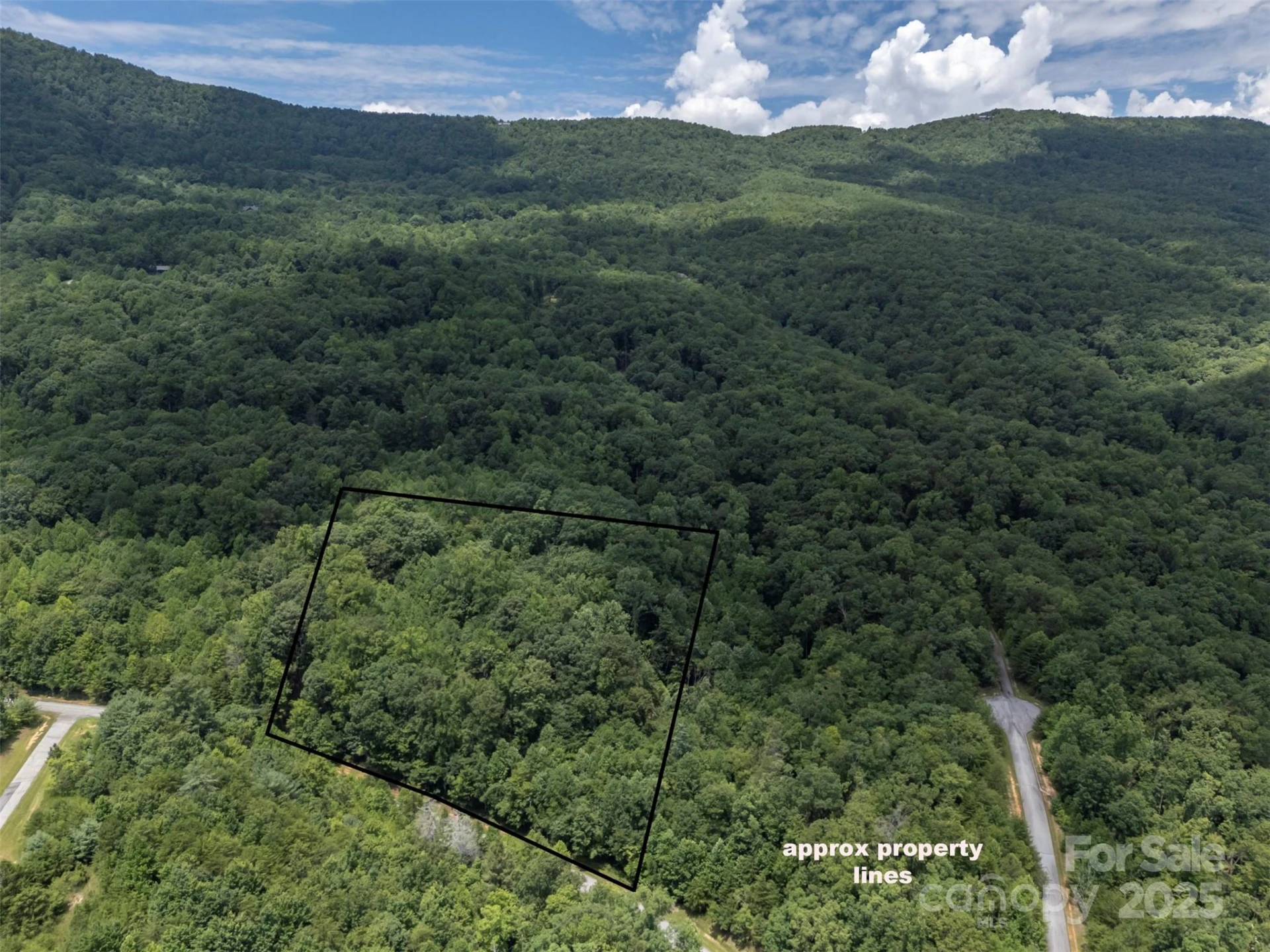 000 Deep Gap Farm Road - Photo 12