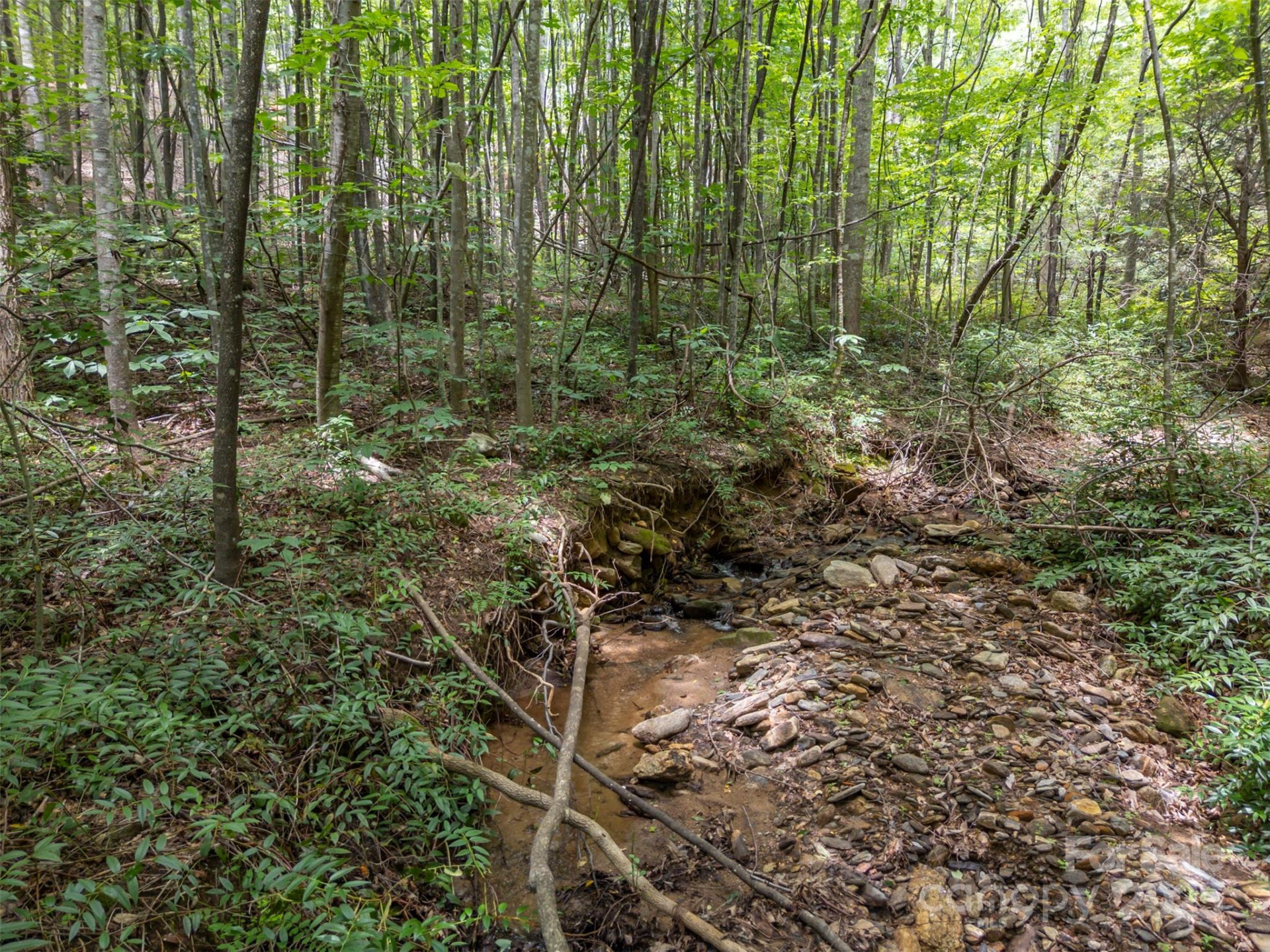 000 Deep Gap Farm Road - Photo 3