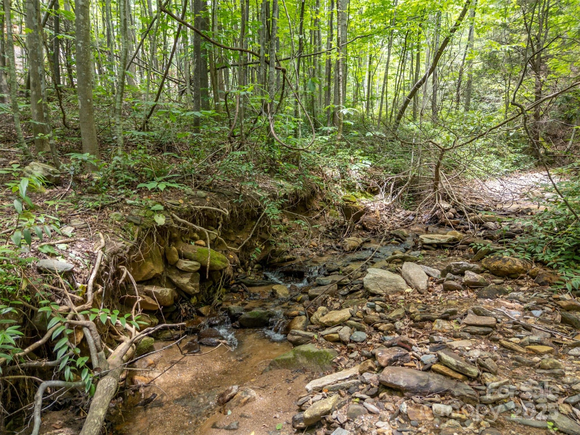 000 Deep Gap Farm Road - Photo 4