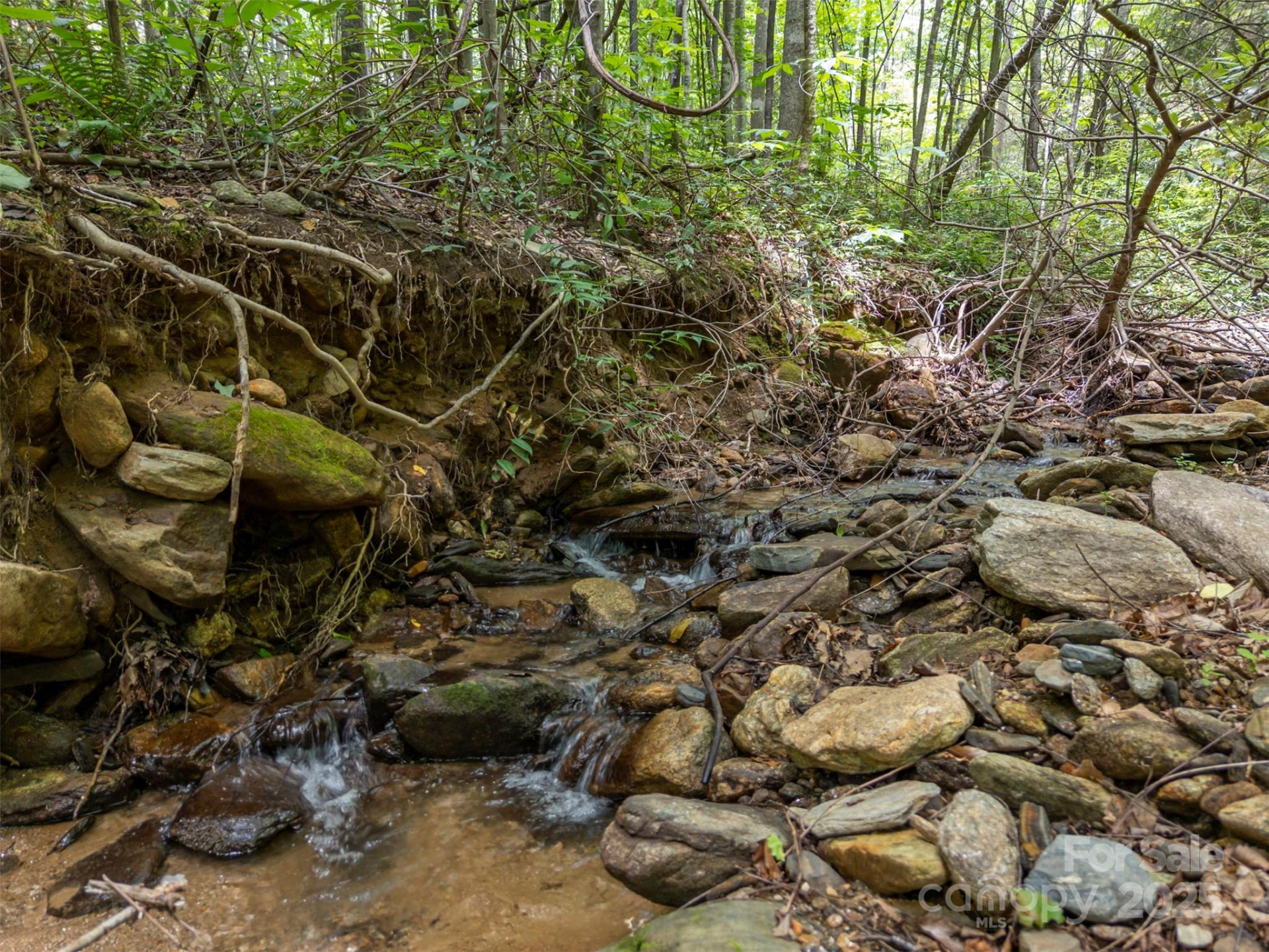 000 Deep Gap Farm Road - Photo 5