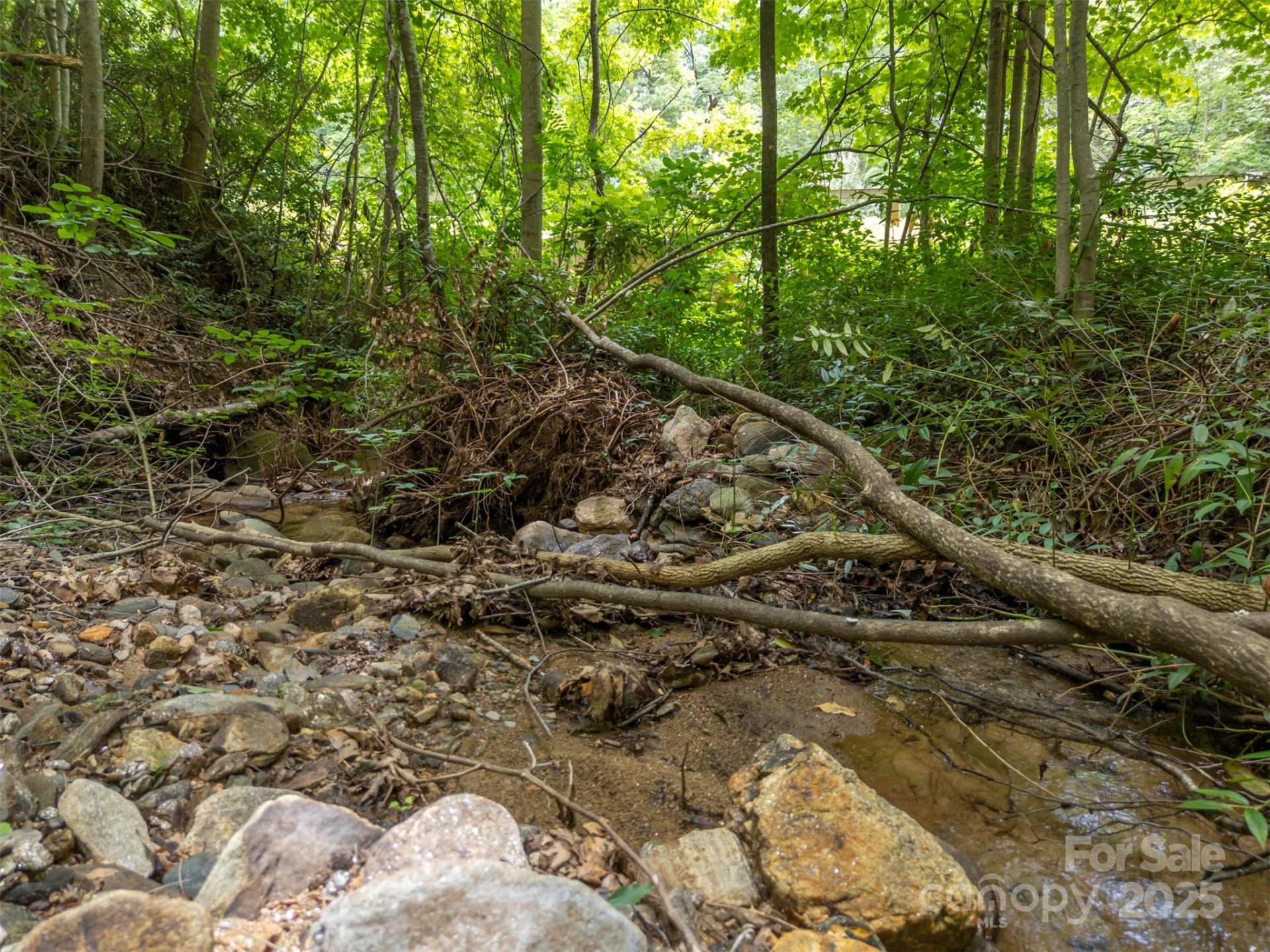 000 Deep Gap Farm Road - Photo 6