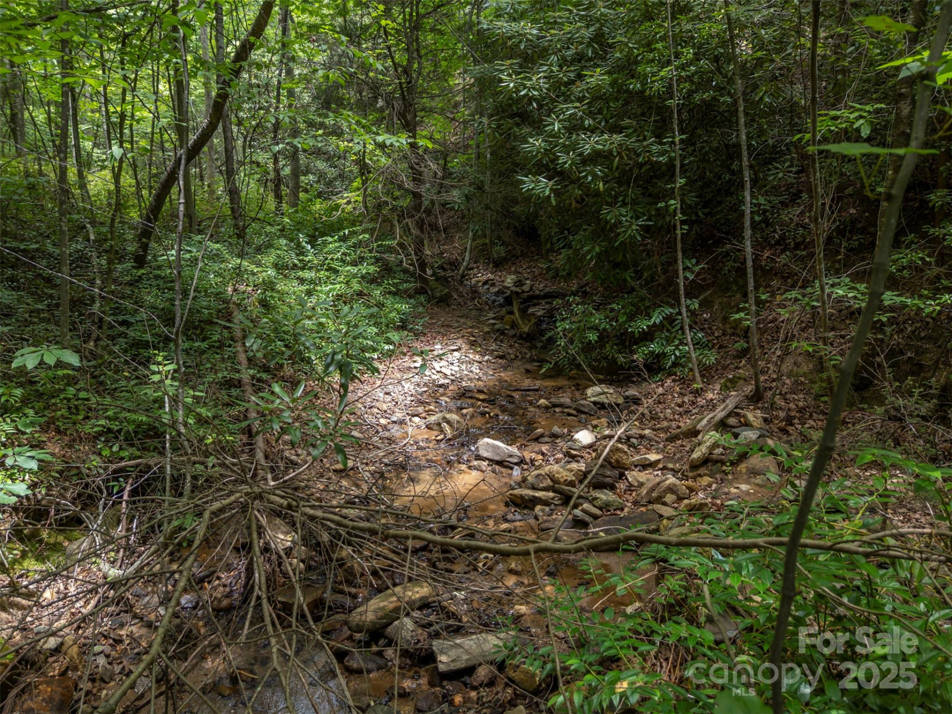 000 Deep Gap Farm Road - Photo 7