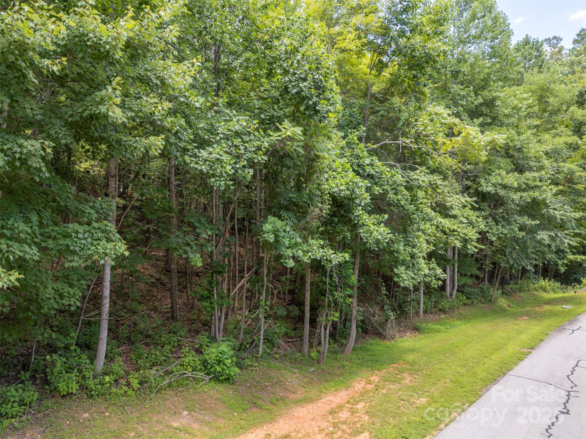 000 Deep Gap Farm Road - Photo 9