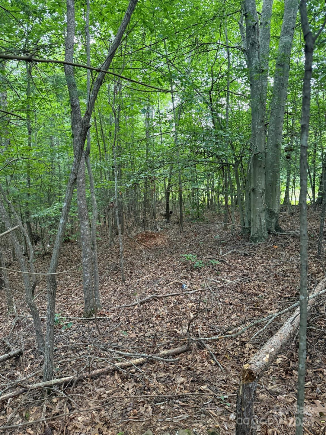 3994 Seitz Road - Photo 5