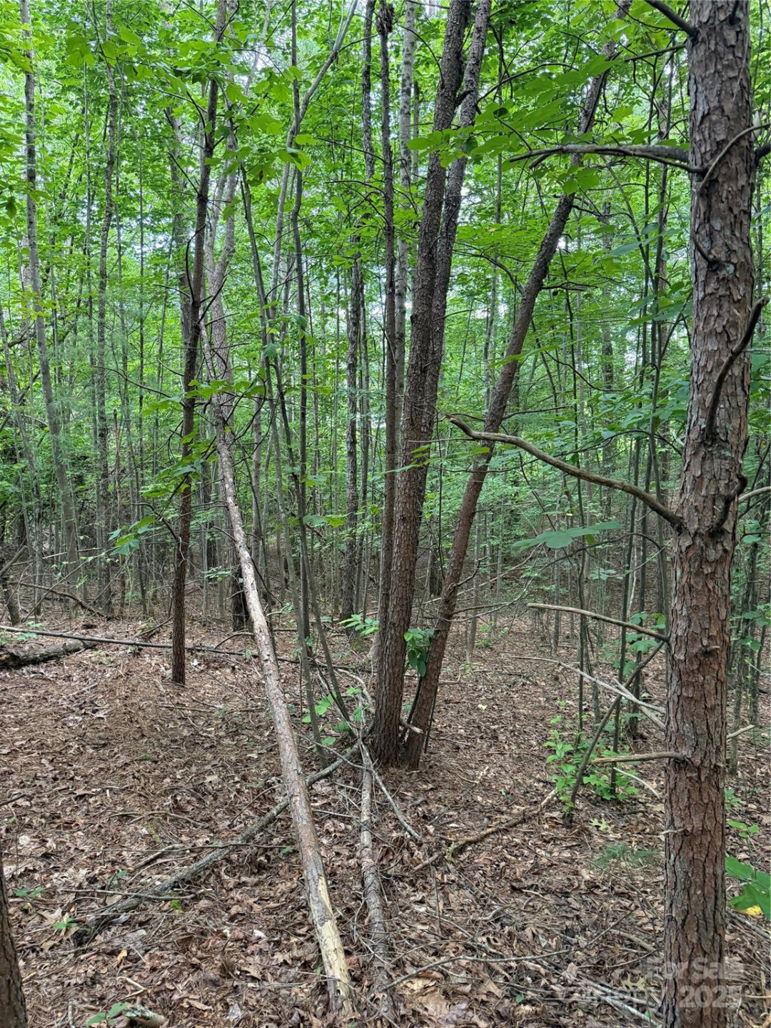 3994 Seitz Road - Photo 6