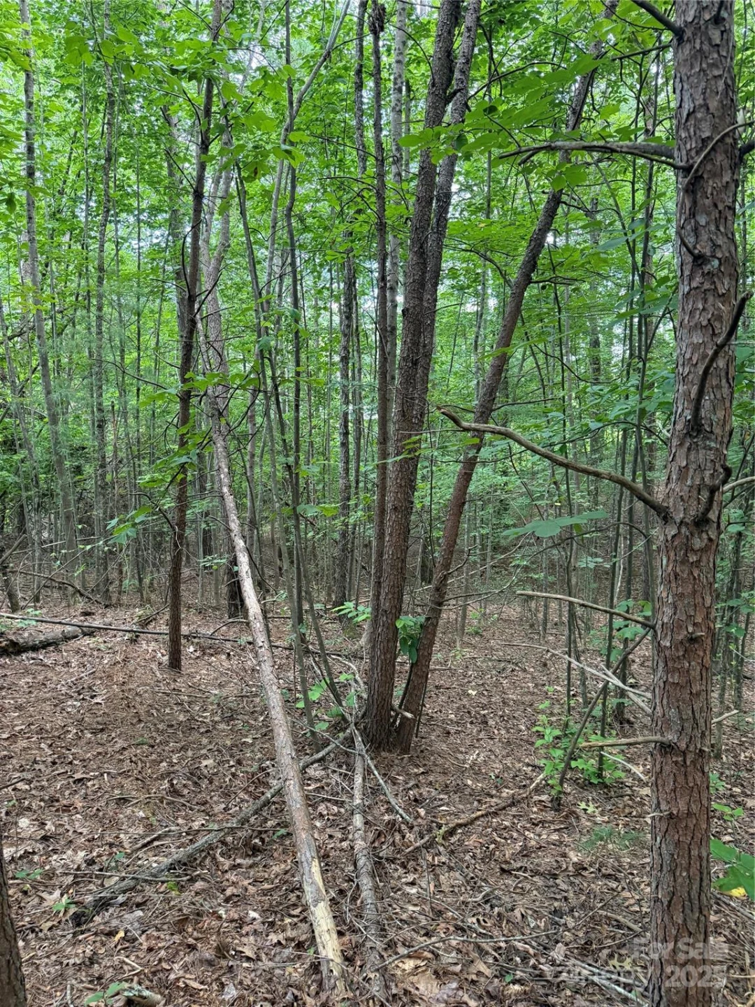 3994 Seitz Road - Photo 6