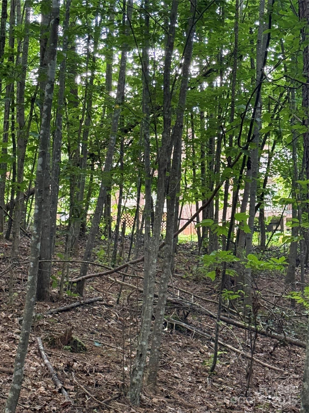 3994 Seitz Road - Photo 7