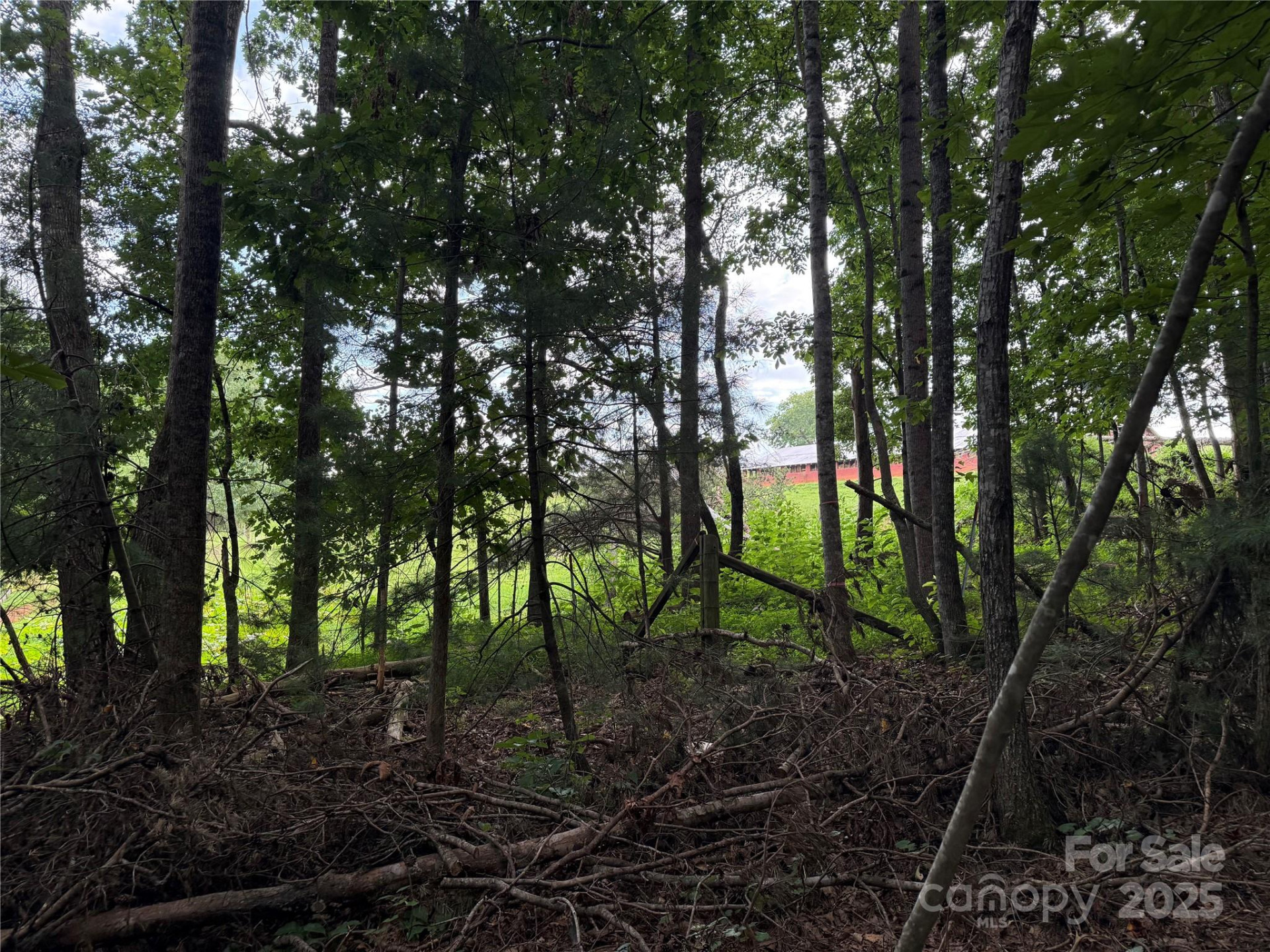 3994 Seitz Road - Photo 8