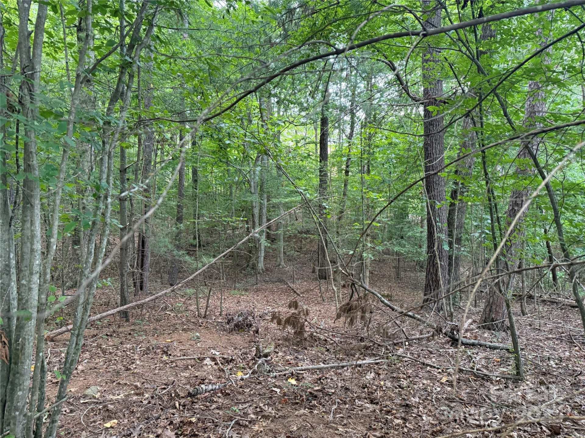 3994 Seitz Road - Photo 9