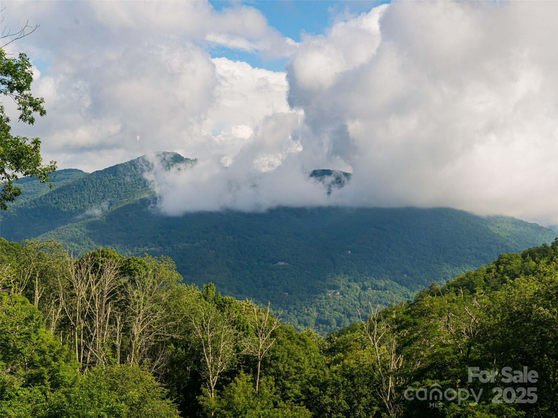 82 Gadohi Trail - Photo 4