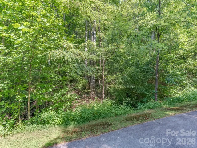Lot 231 Chesterfield Drive, Mill Spring, NC, 28756