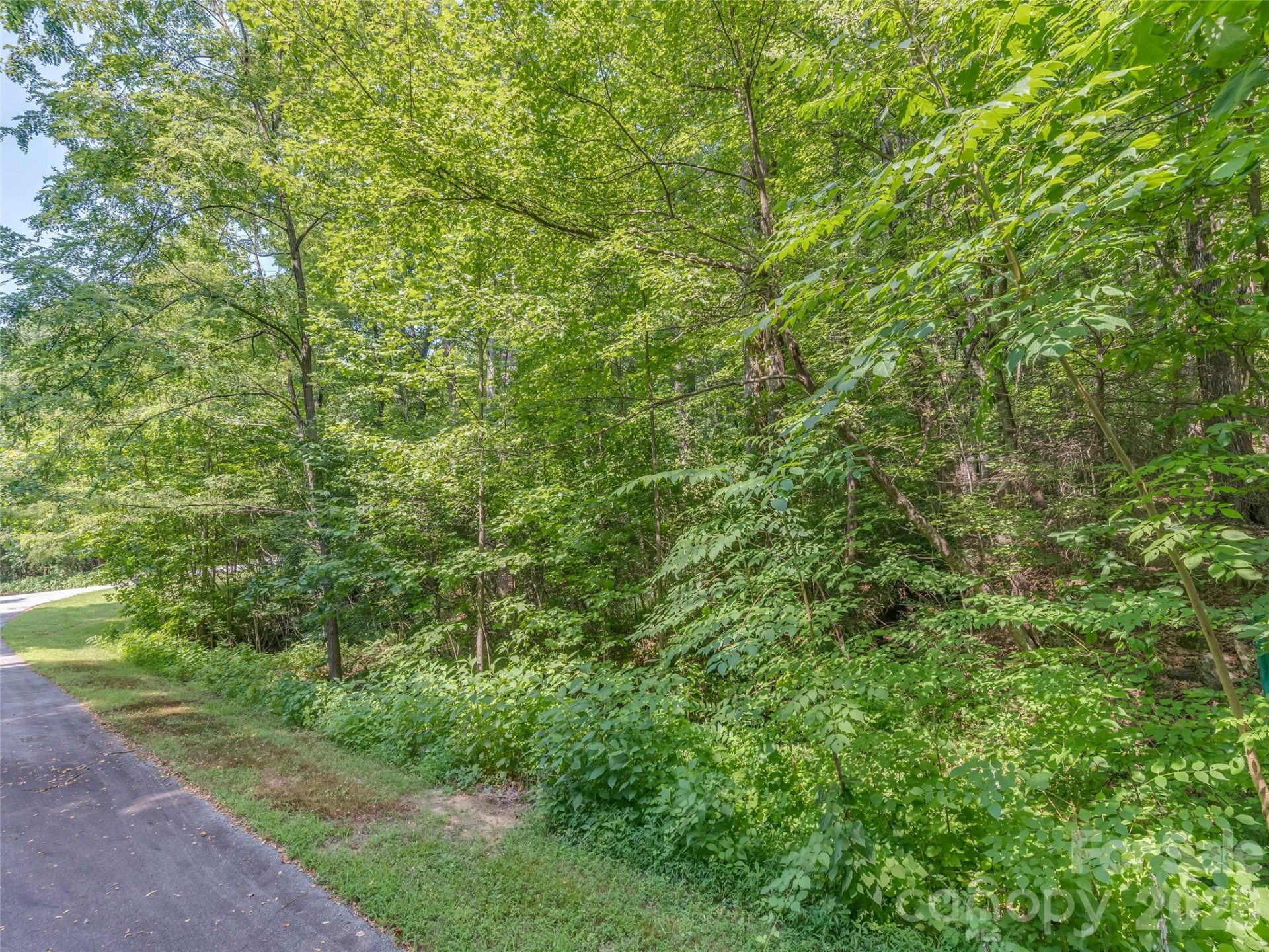 Lot 231 Chesterfield Drive #231 - Photo 2