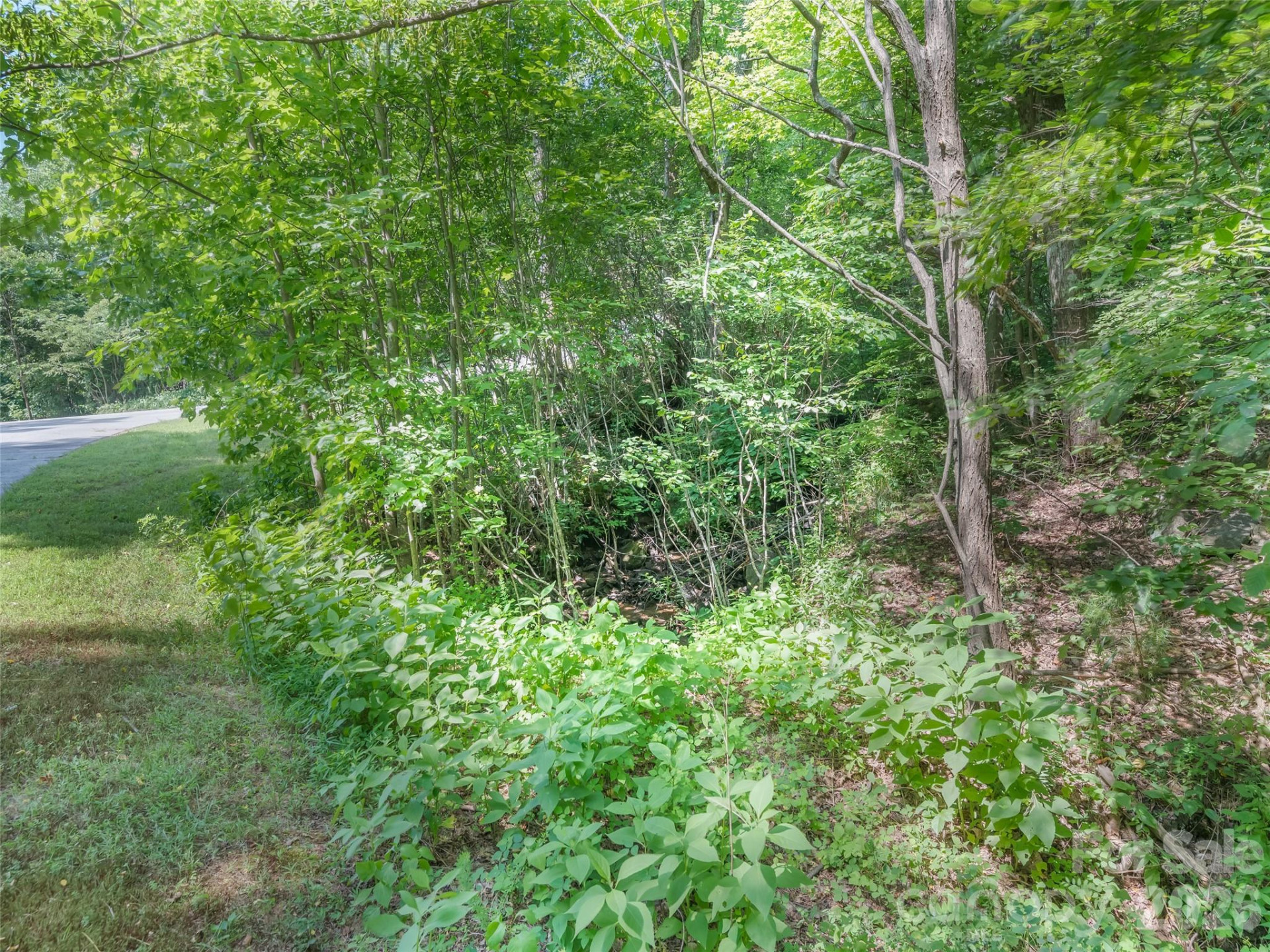 Lot 231 Chesterfield Drive #231 - Photo 3