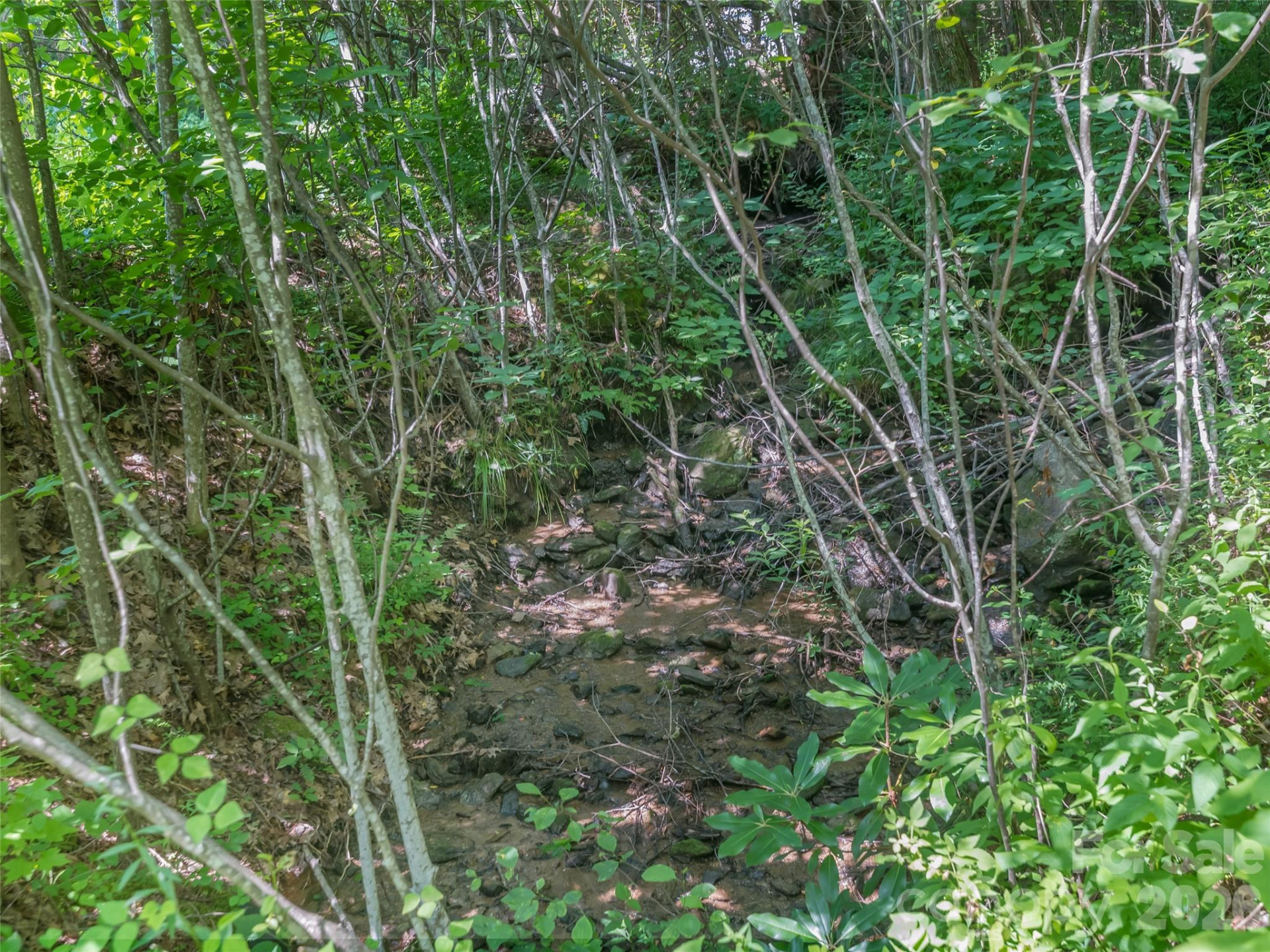 Lot 231 Chesterfield Drive #231 - Photo 4