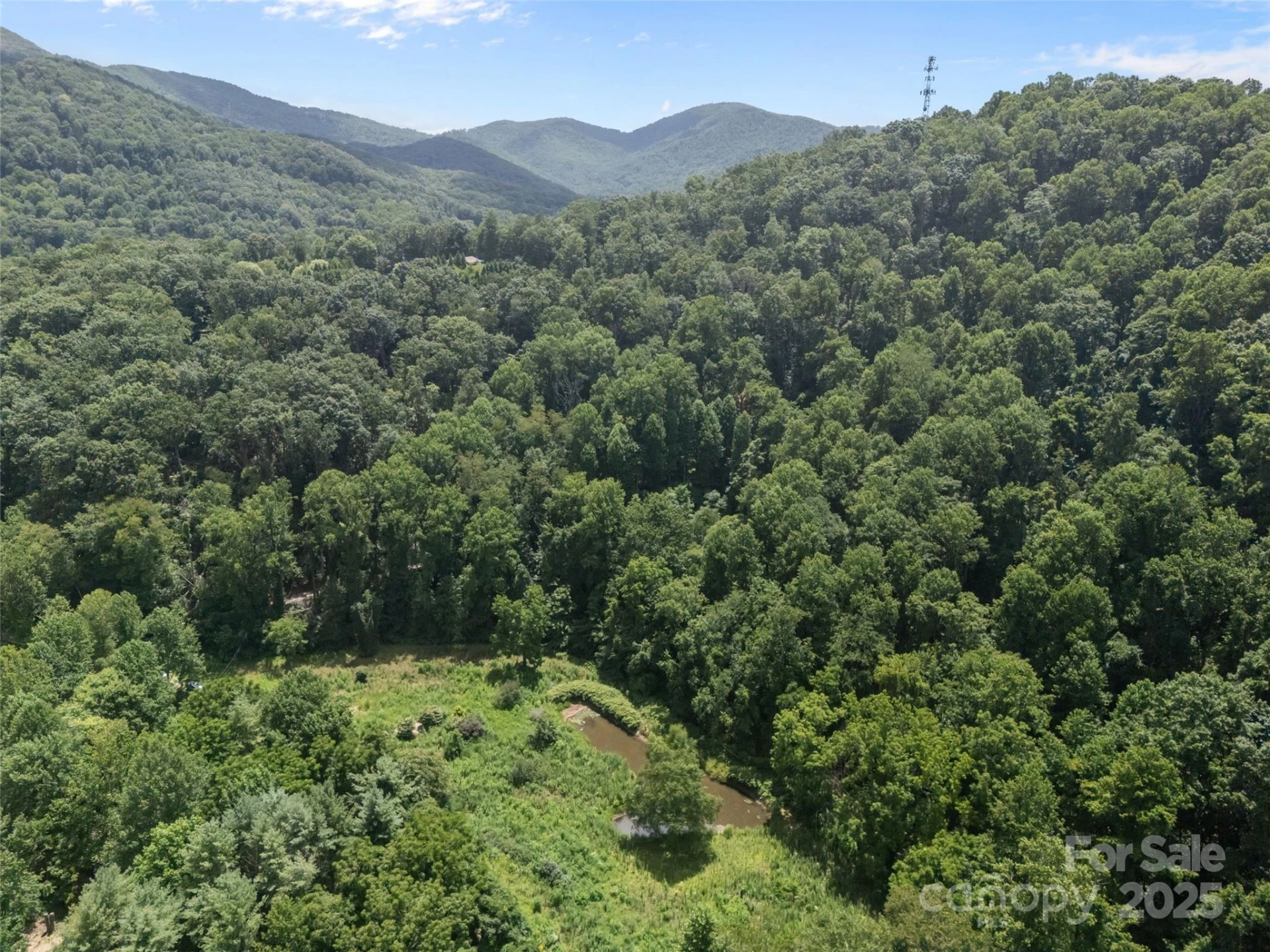 129 Franklin Road - Photo 15