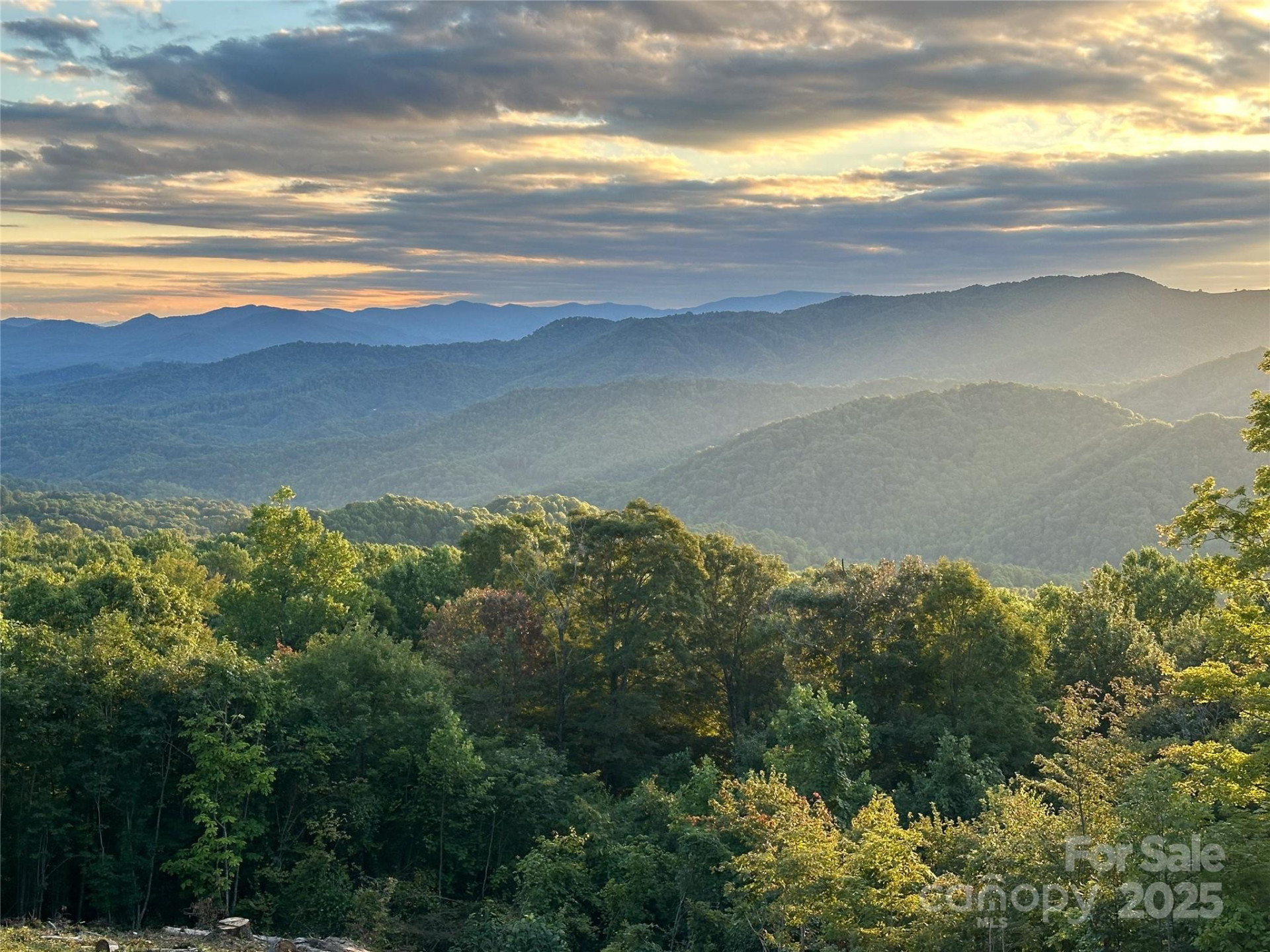 TBD Nicholas Knoll Road - Photo 12