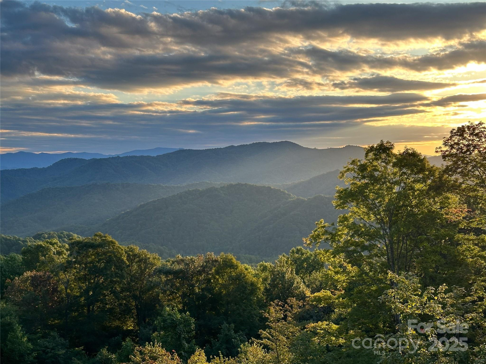 TBD Nicholas Knoll Road - Photo 14